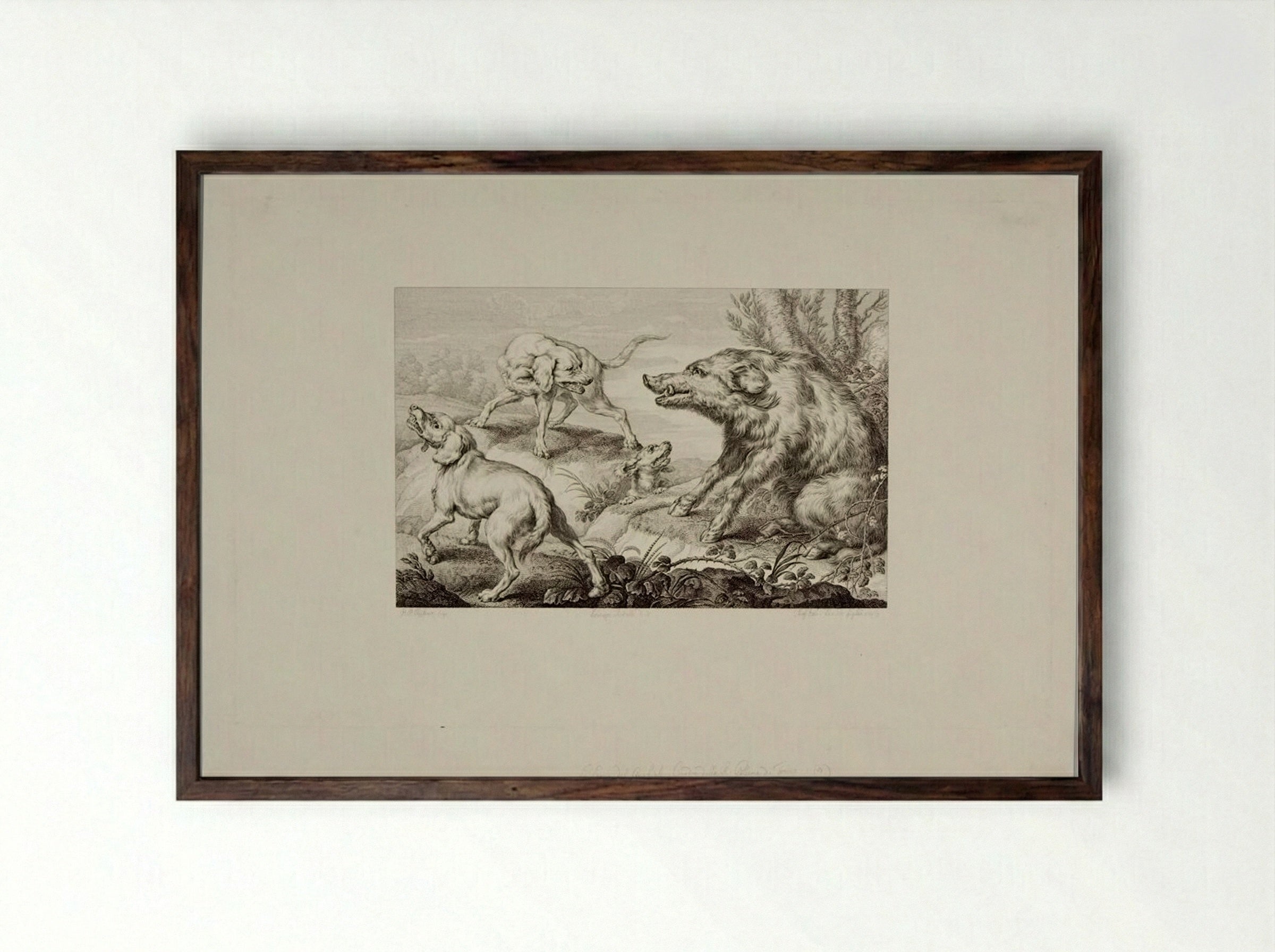 Wild Boar at Bay, With Three Dogs - Giovanni Paolo Lasinio - Framed Print Dark Wood