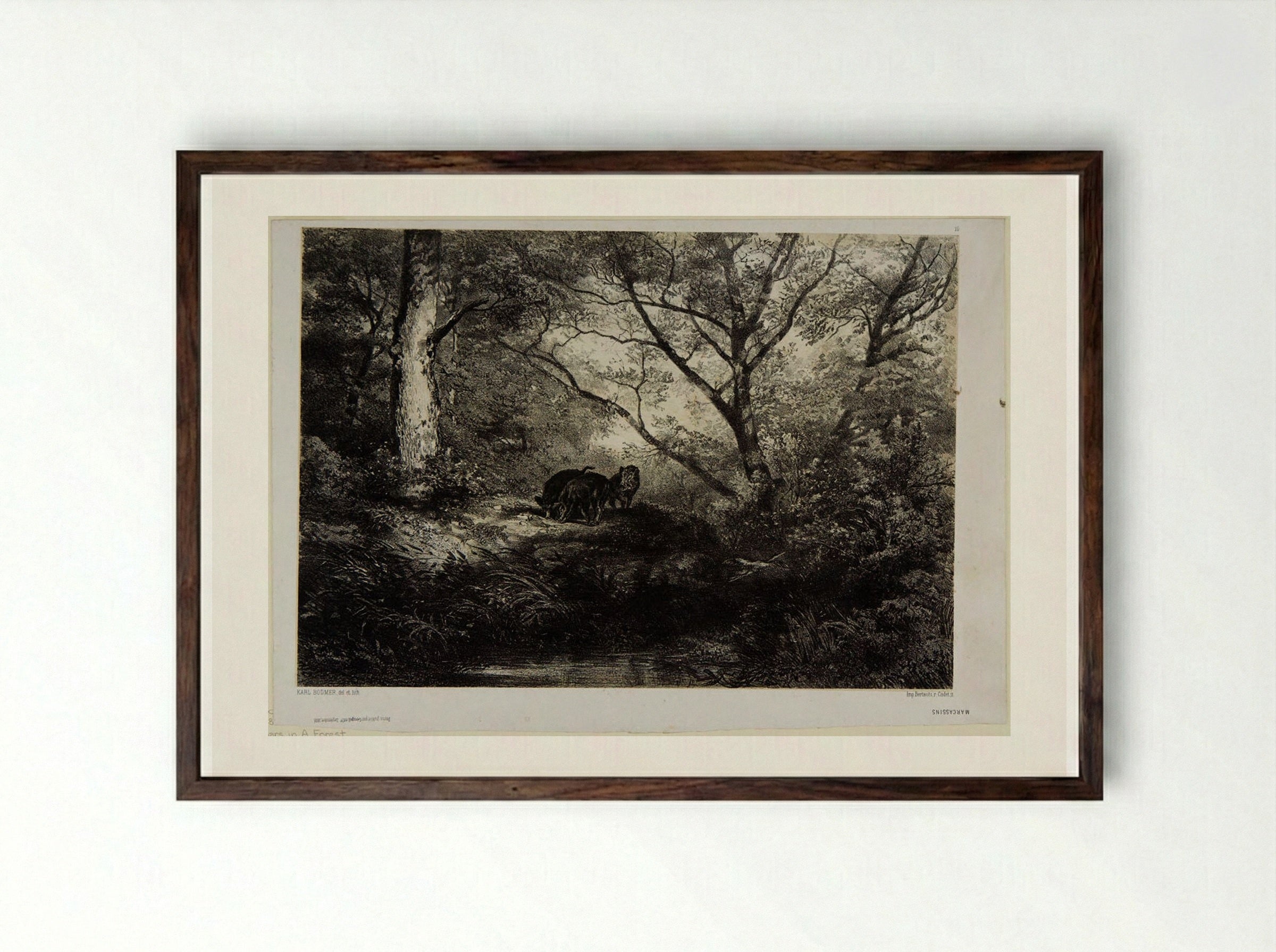 Wild Boars in a Forest - Karl Bodmer - Framed Print Dark Wood