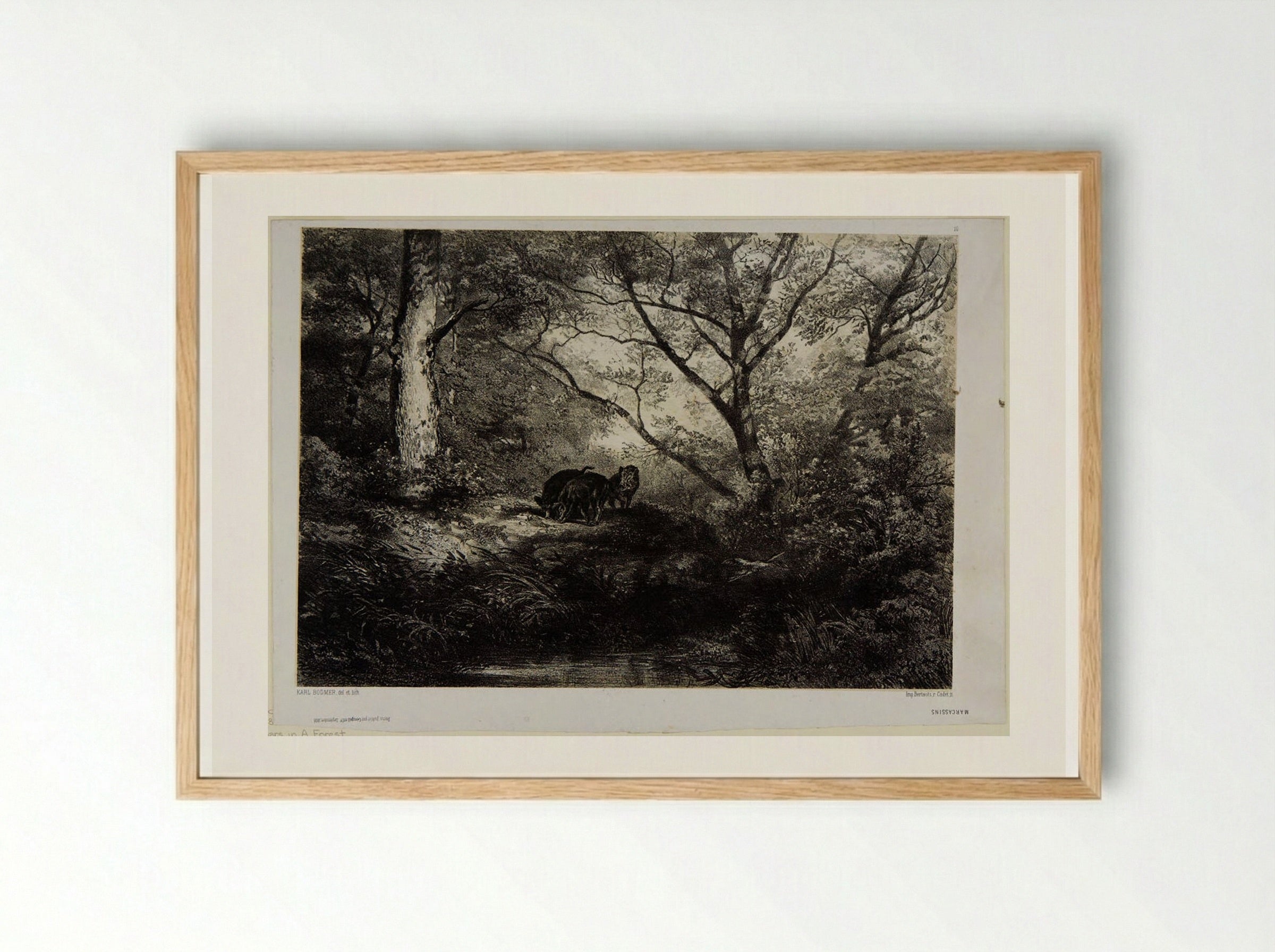 Wild Boars in a Forest - Karl Bodmer - Framed Print Wood
