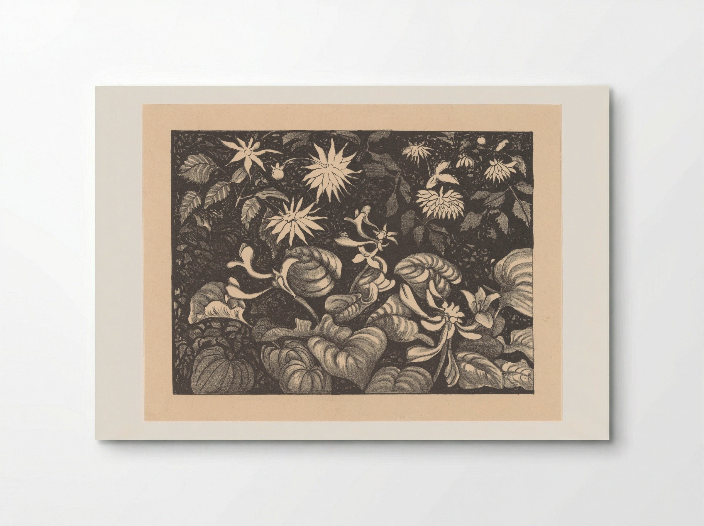 Wilde planten en bloemen - Theo van Hoytema - Poster