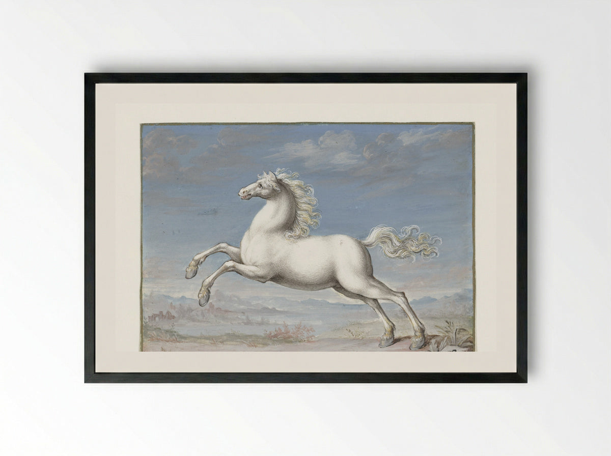 Wit paard (White Horse) - Joris Hoefnagel - Framed Print Black