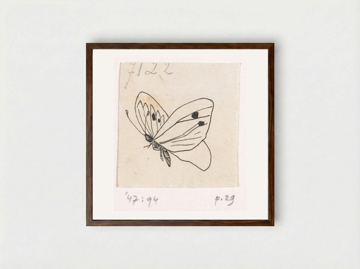 Witje (Study of a Butterfly) - Willem Wenckebach - Framed Print Dark Wood