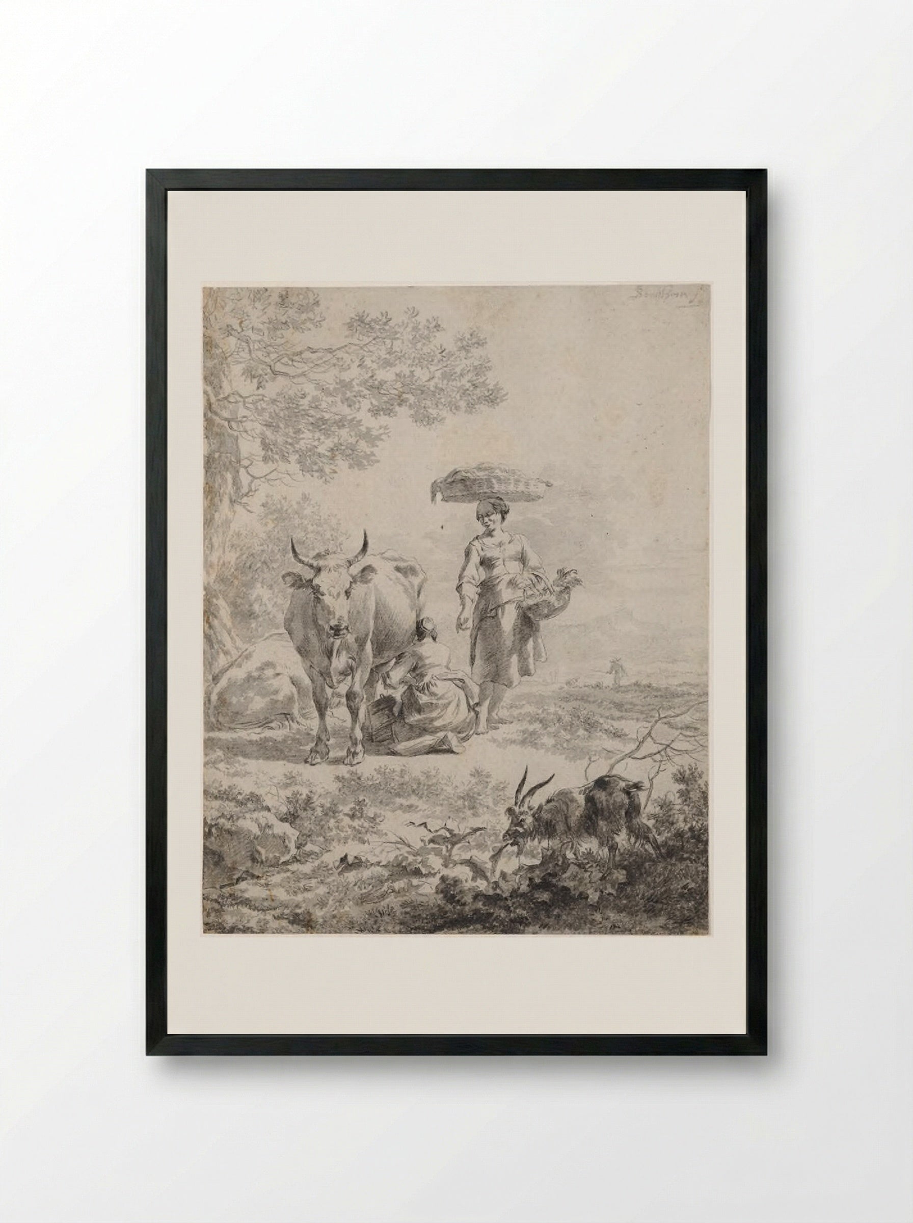 Woman Milking a Cow - Nicolaes Berchem the Elder - Framed Print Black
