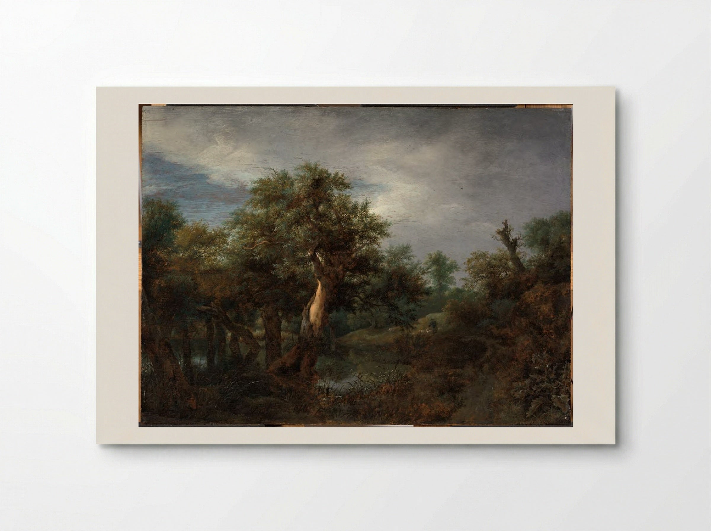 Wooded Landscape with an Old Oak - Jacob van Ruisdael - Poster