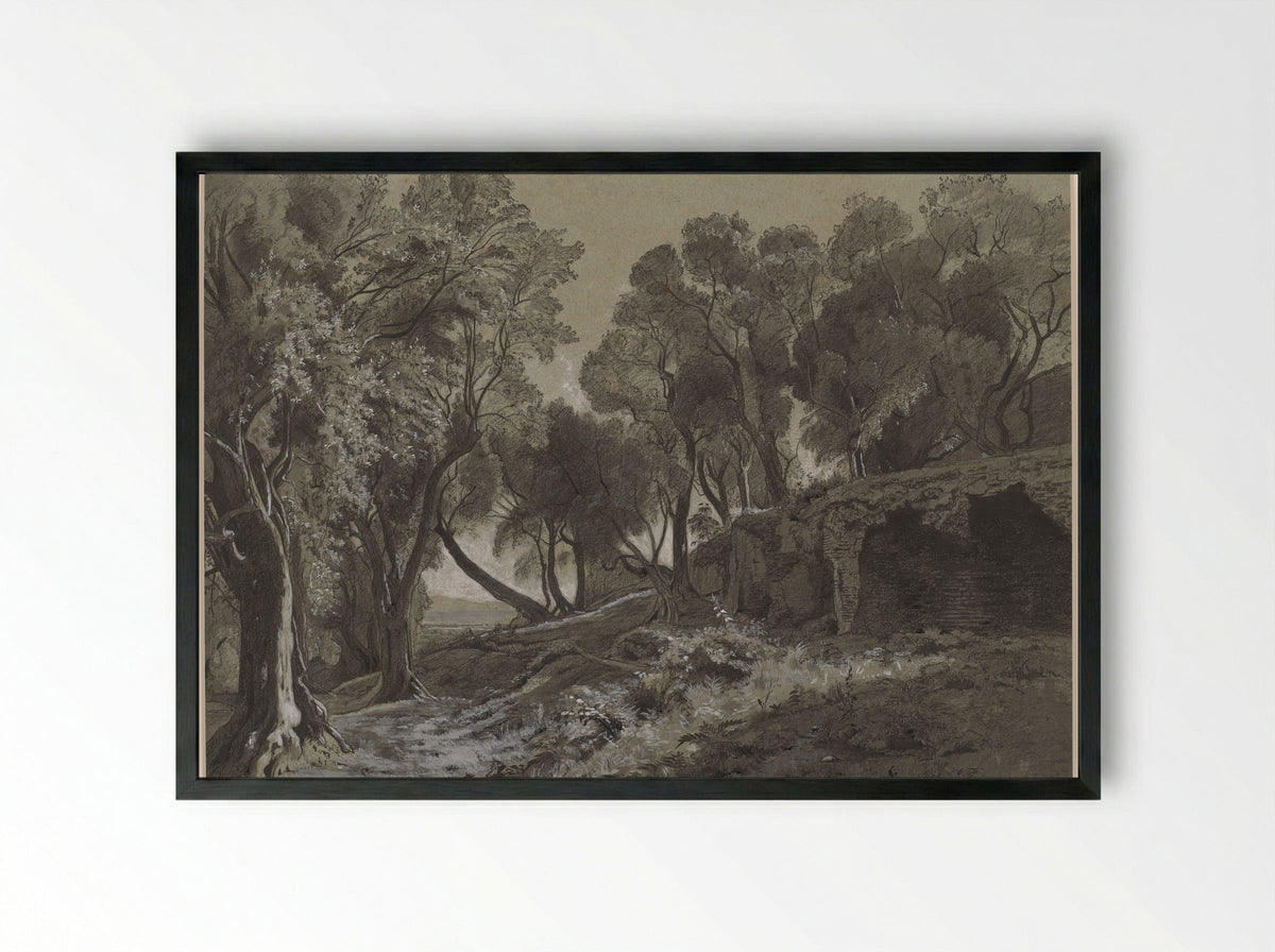 Wooded Landscape - François-Louis Français - Framed Print Black