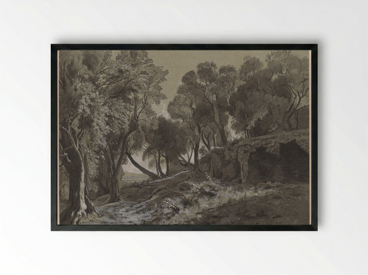 Wooded Landscape - François-Louis Français - Framed Print Black
