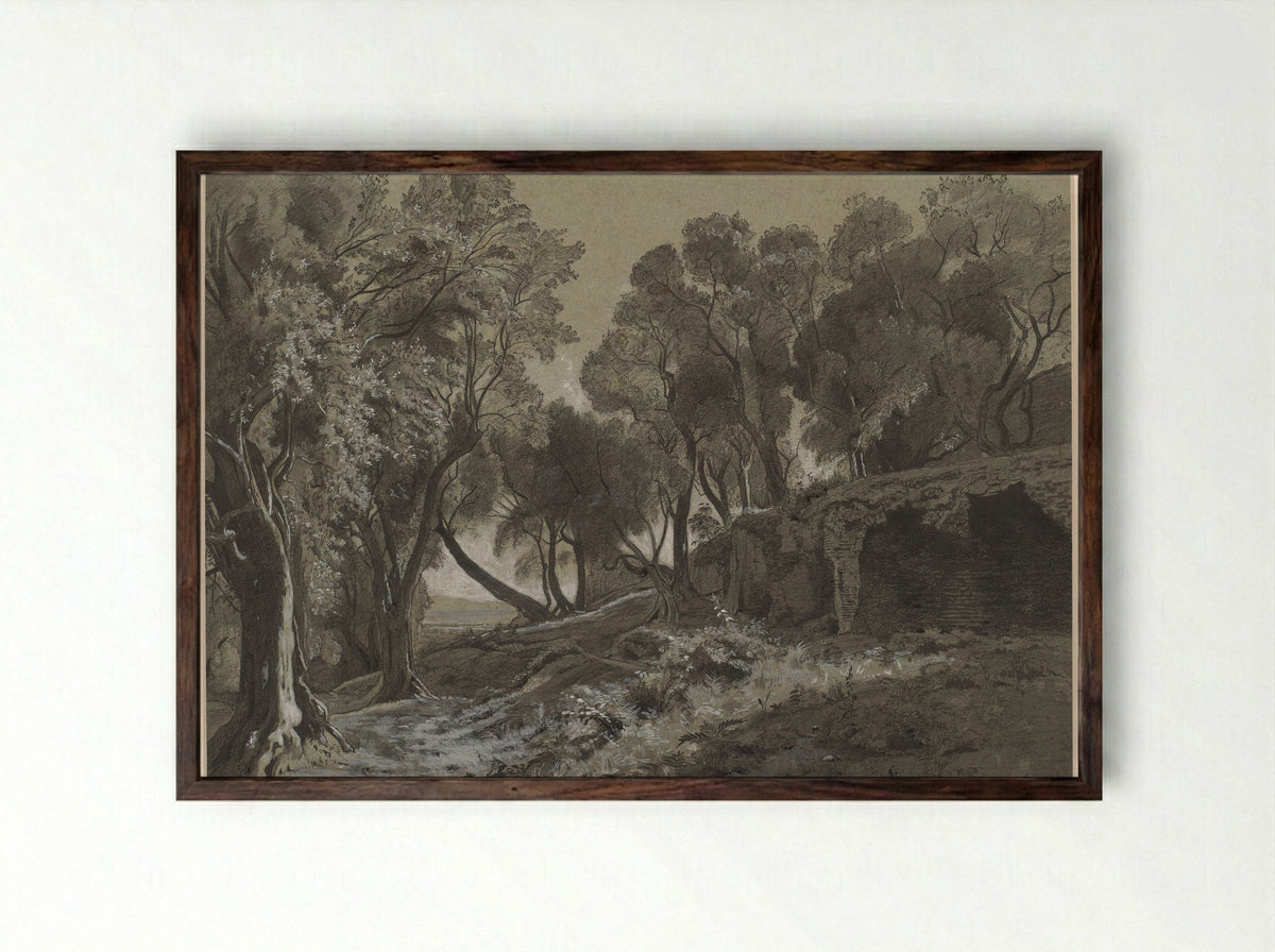 Wooded Landscape - François-Louis Français - Framed Print Dark Wood