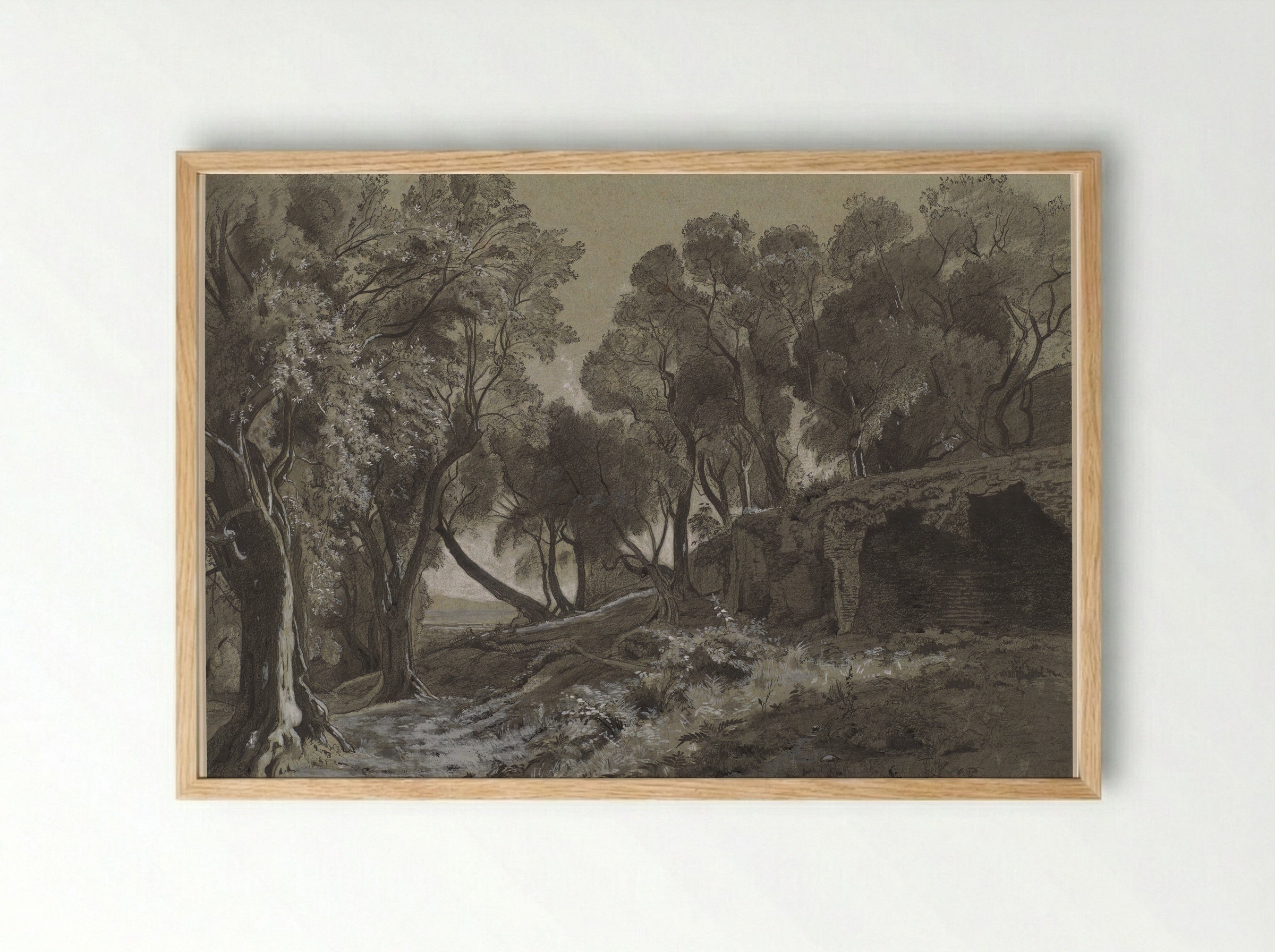 Wooded Landscape - François-Louis Français - Framed Print Wood