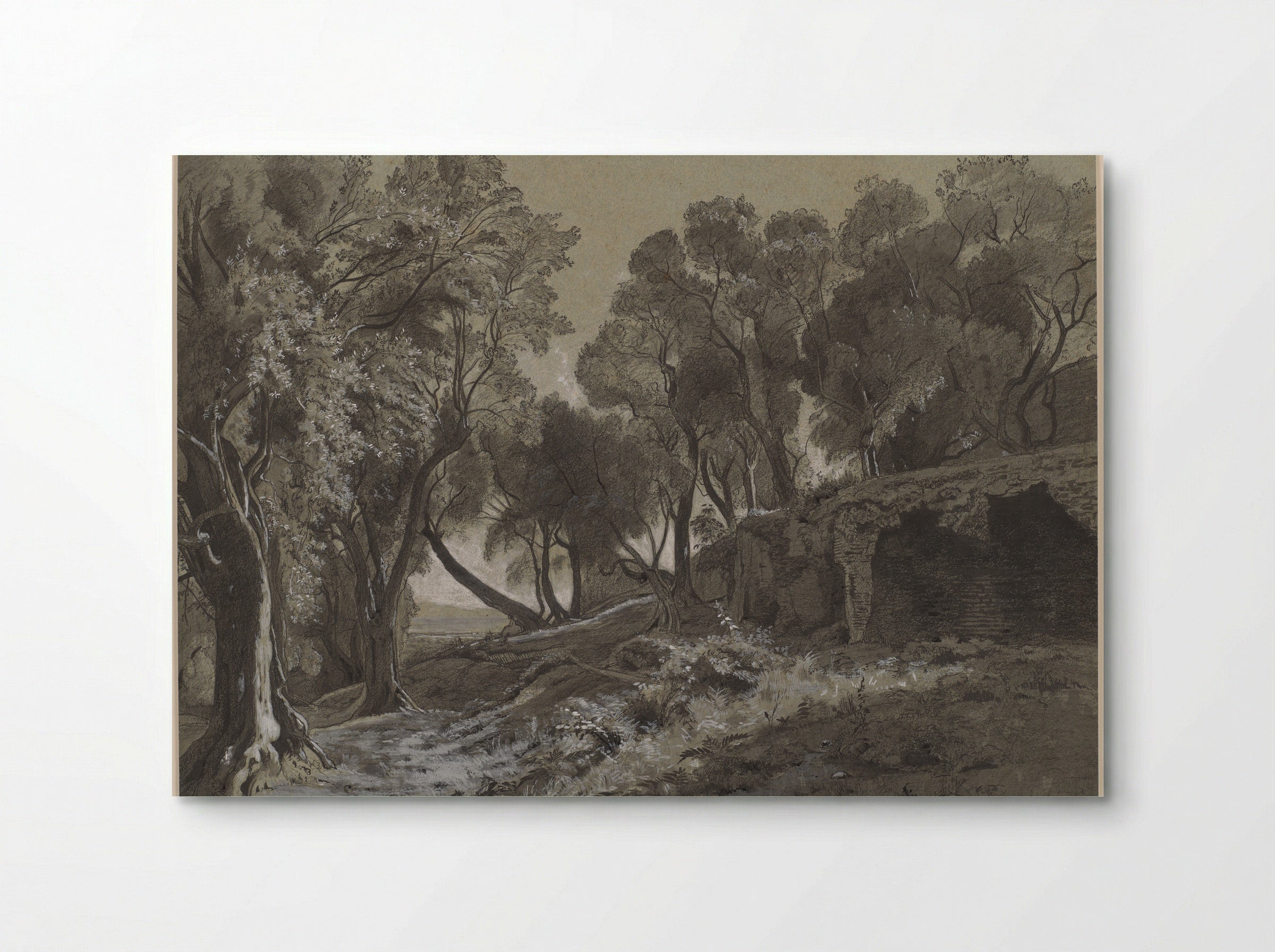 Wooded Landscape - François-Louis Français - Poster