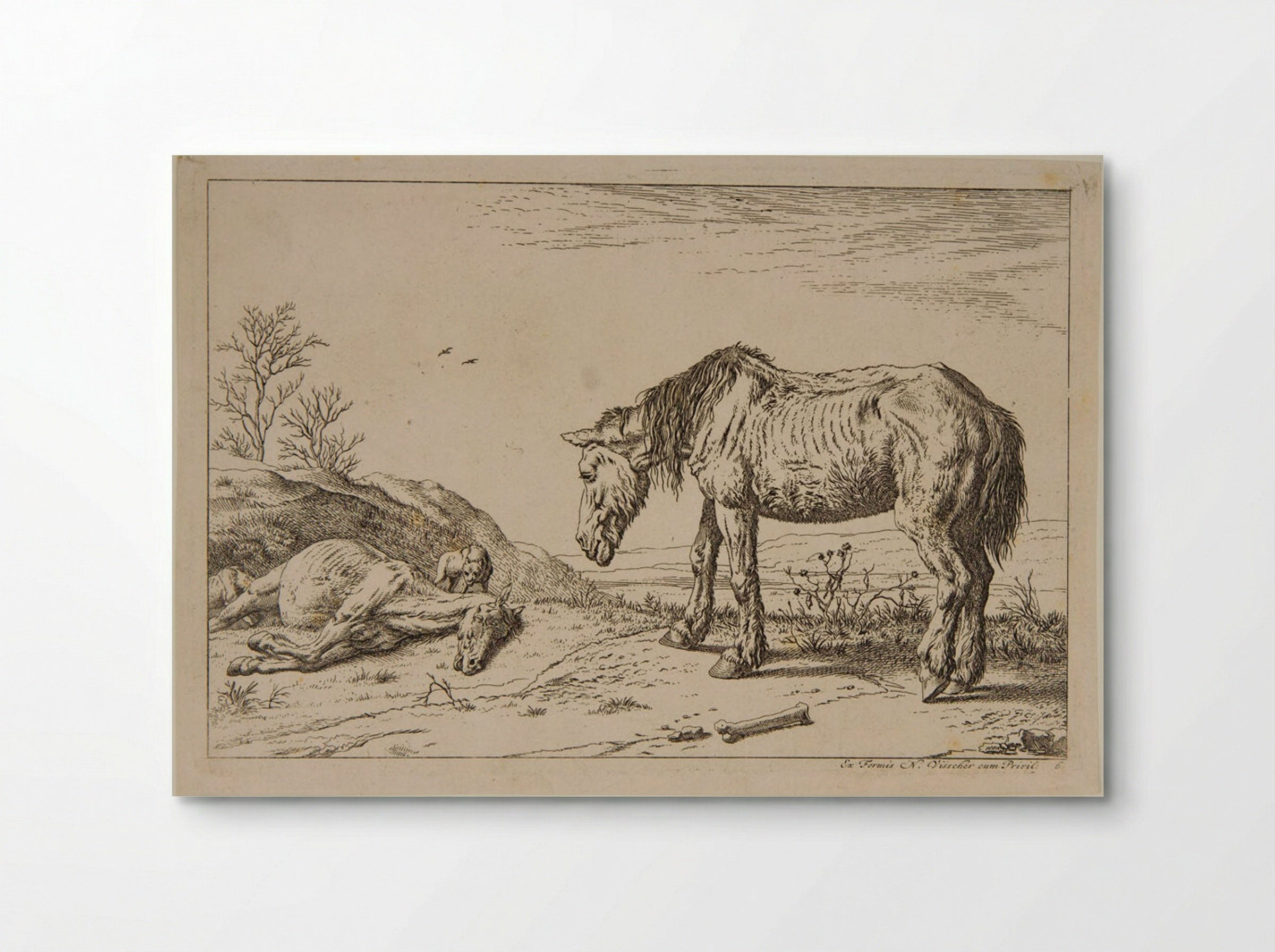 Worn-out Horse - Paulus Potter - Poster
