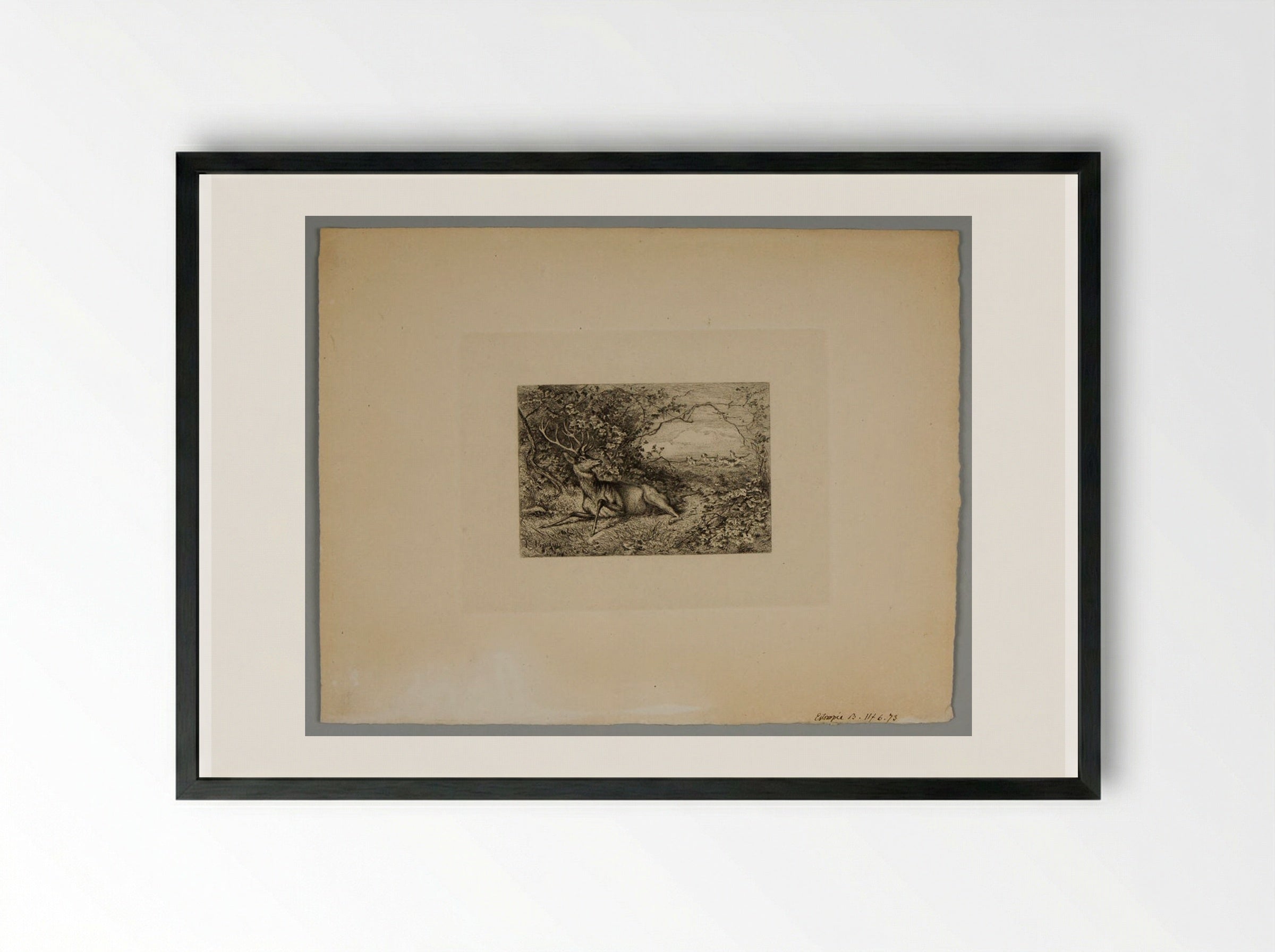 Wounded Stag Chased by Hounds - Karl Bodmer - Framed Print Black