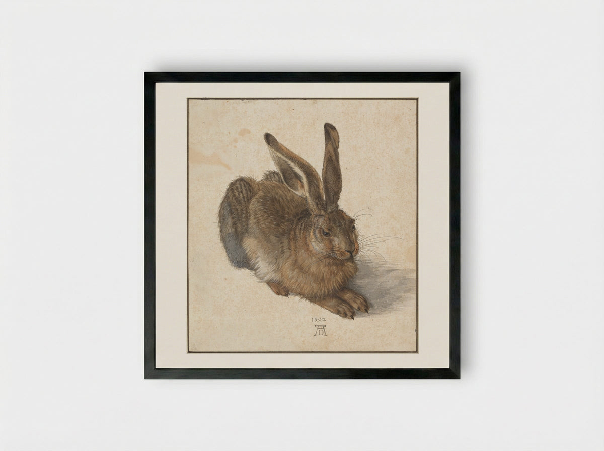 Young Hare - Albrecht Dürer - Framed Print Black