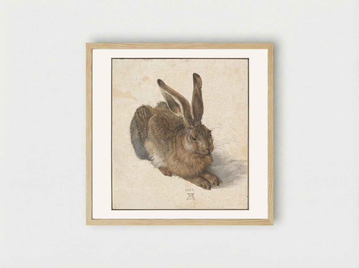 Young Hare - Albrecht Dürer - Framed Print Wood