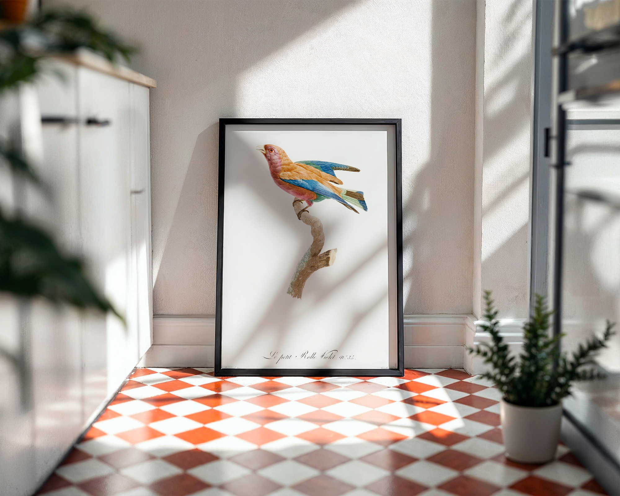 Young-violet-roller-from-Histoire-Naturelle-des-Oiseaux-de-Paradis-et-Des-Rolliers-(1806)-by-Jacques-Barraband_final mockup