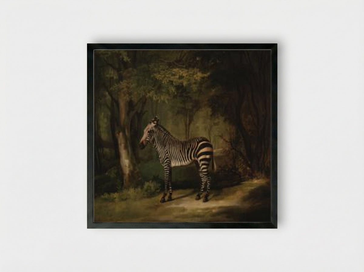 Zebra - George Stubbs - Framed Print Black