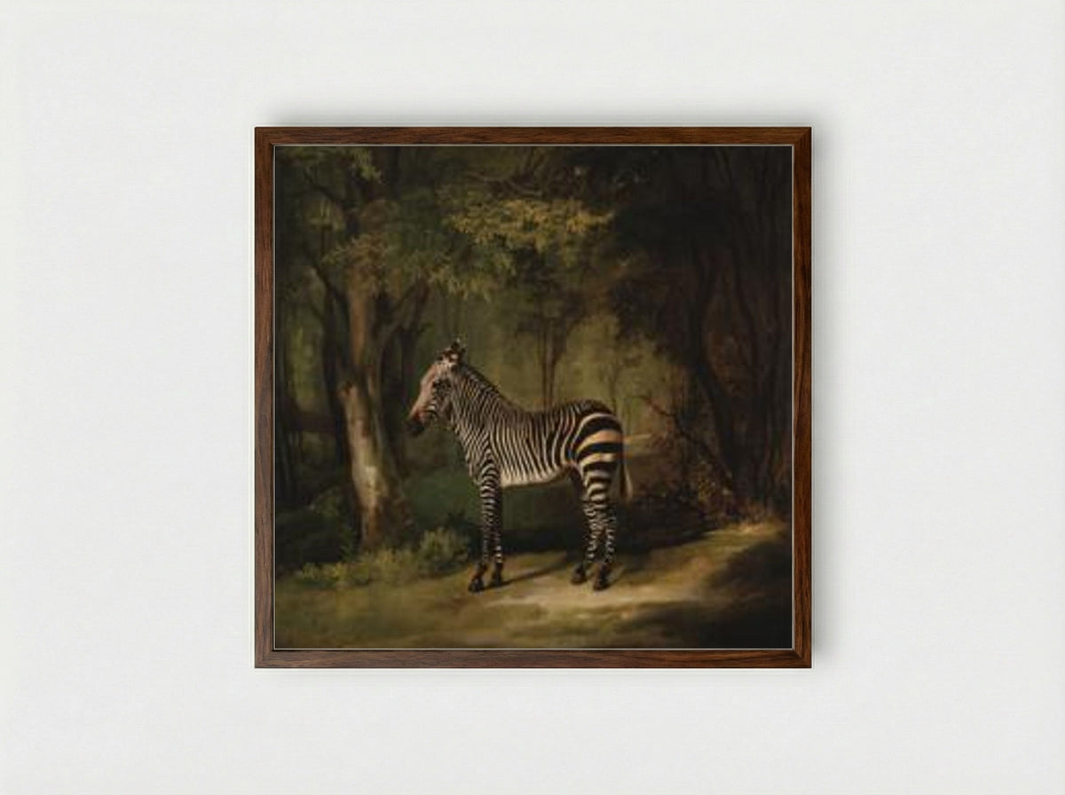Zebra - George Stubbs - Framed Print Dark Wood