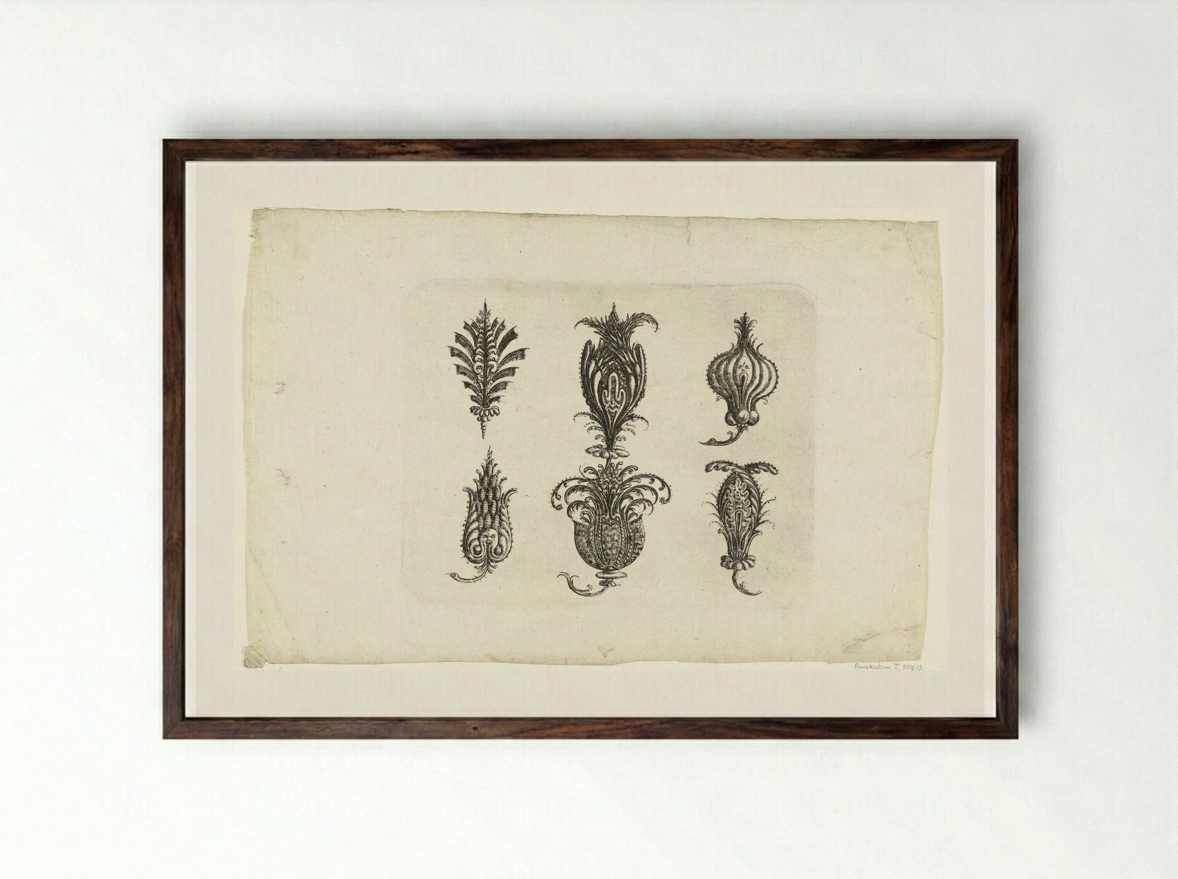 Zes fantasie-vruchten - Christoph Jamnitzer - Framed Print Dark Wood