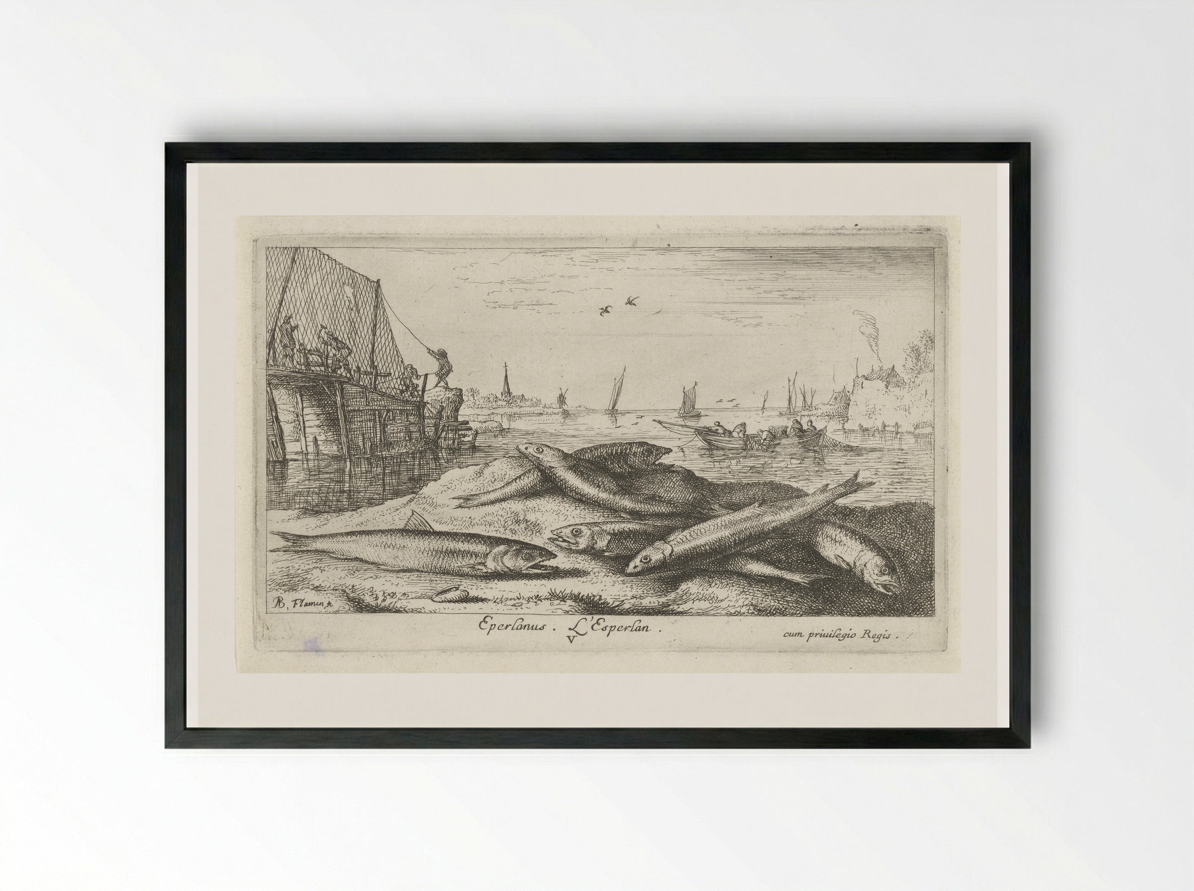 Zes spieringen op het strand - Jacques van Merlen - Framed Print Black