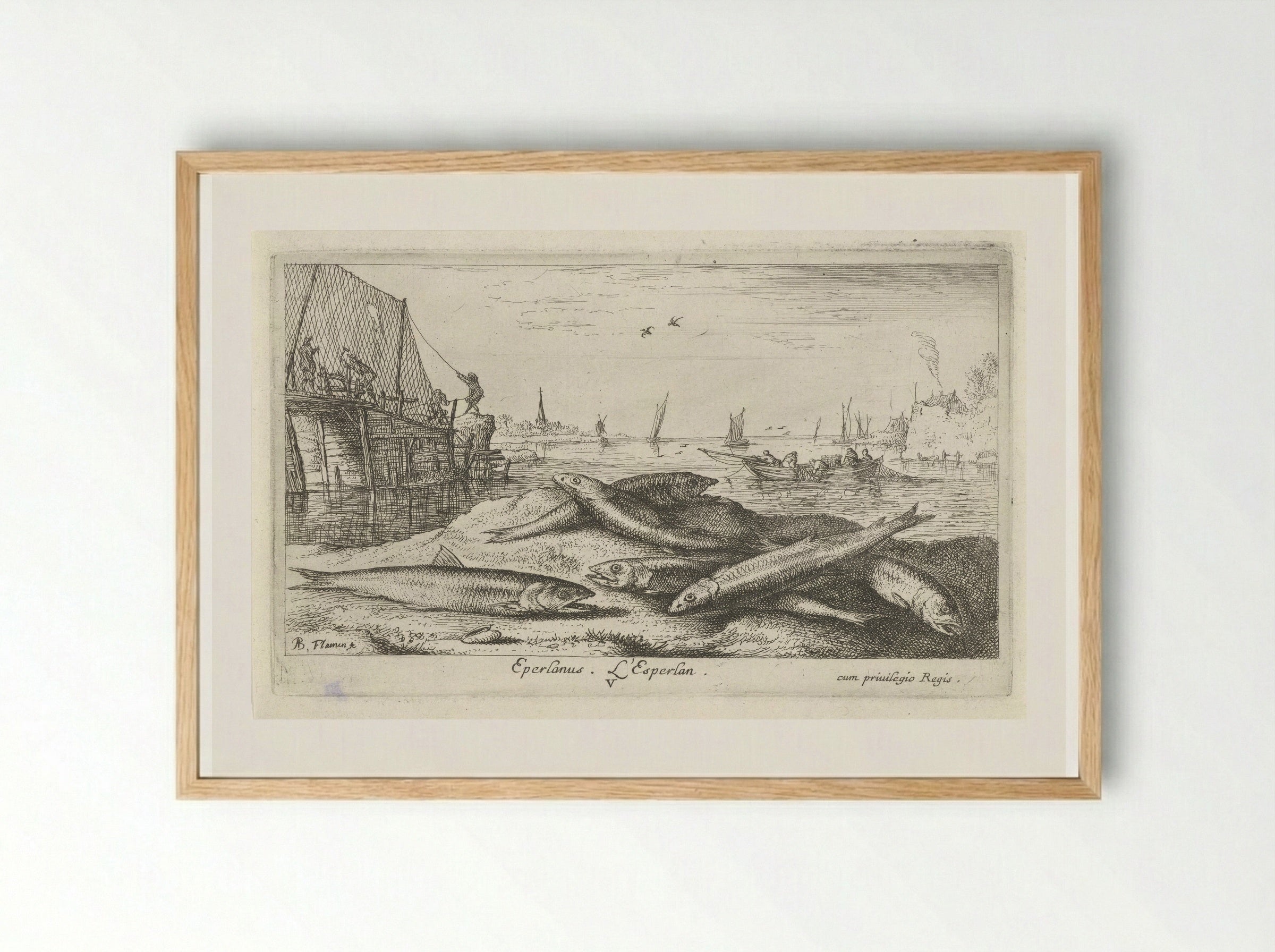 Zes spieringen op het strand - Jacques van Merlen - Framed Print Wood