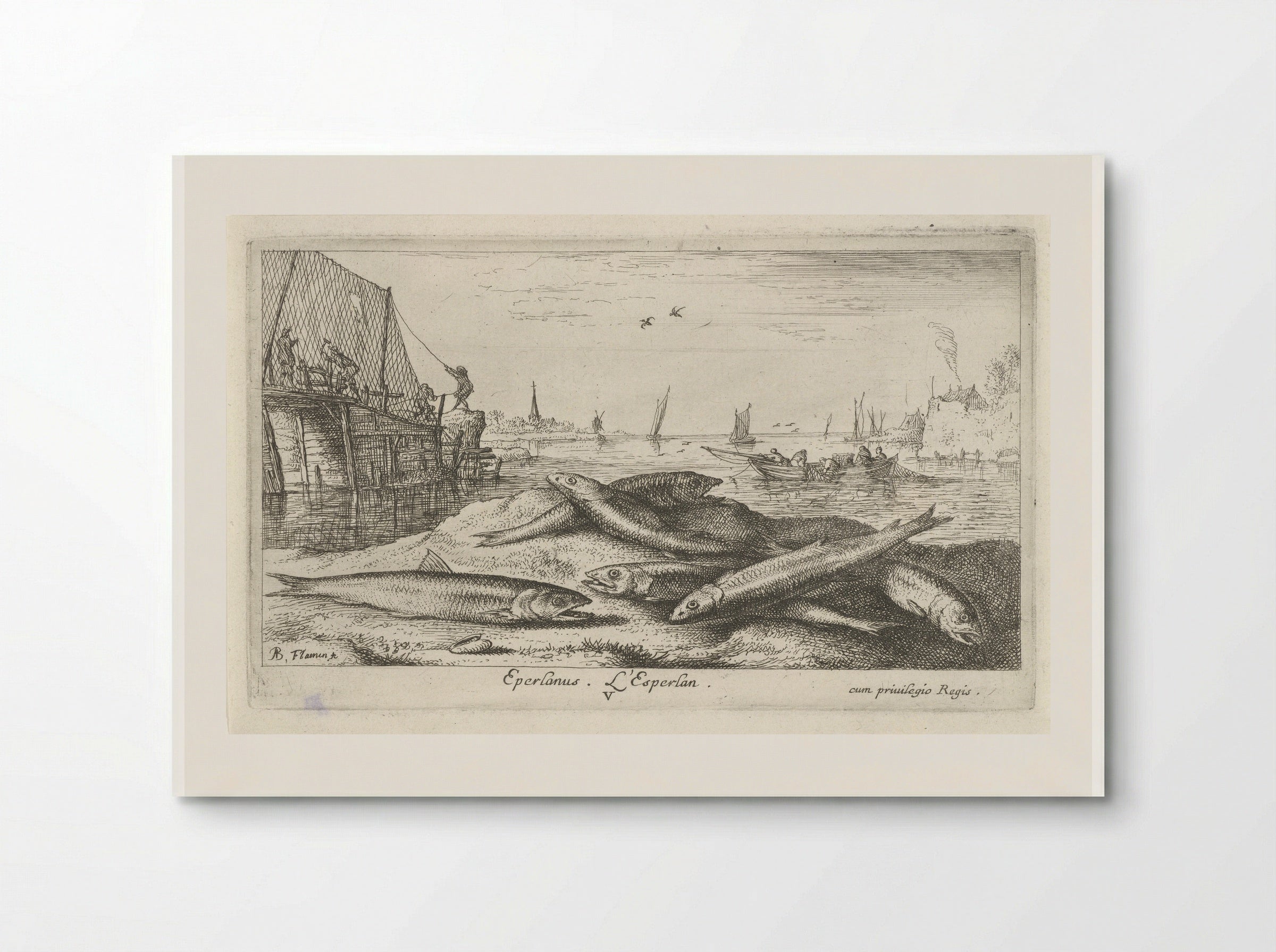 Zes spieringen op het strand - Jacques van Merlen - Poster
