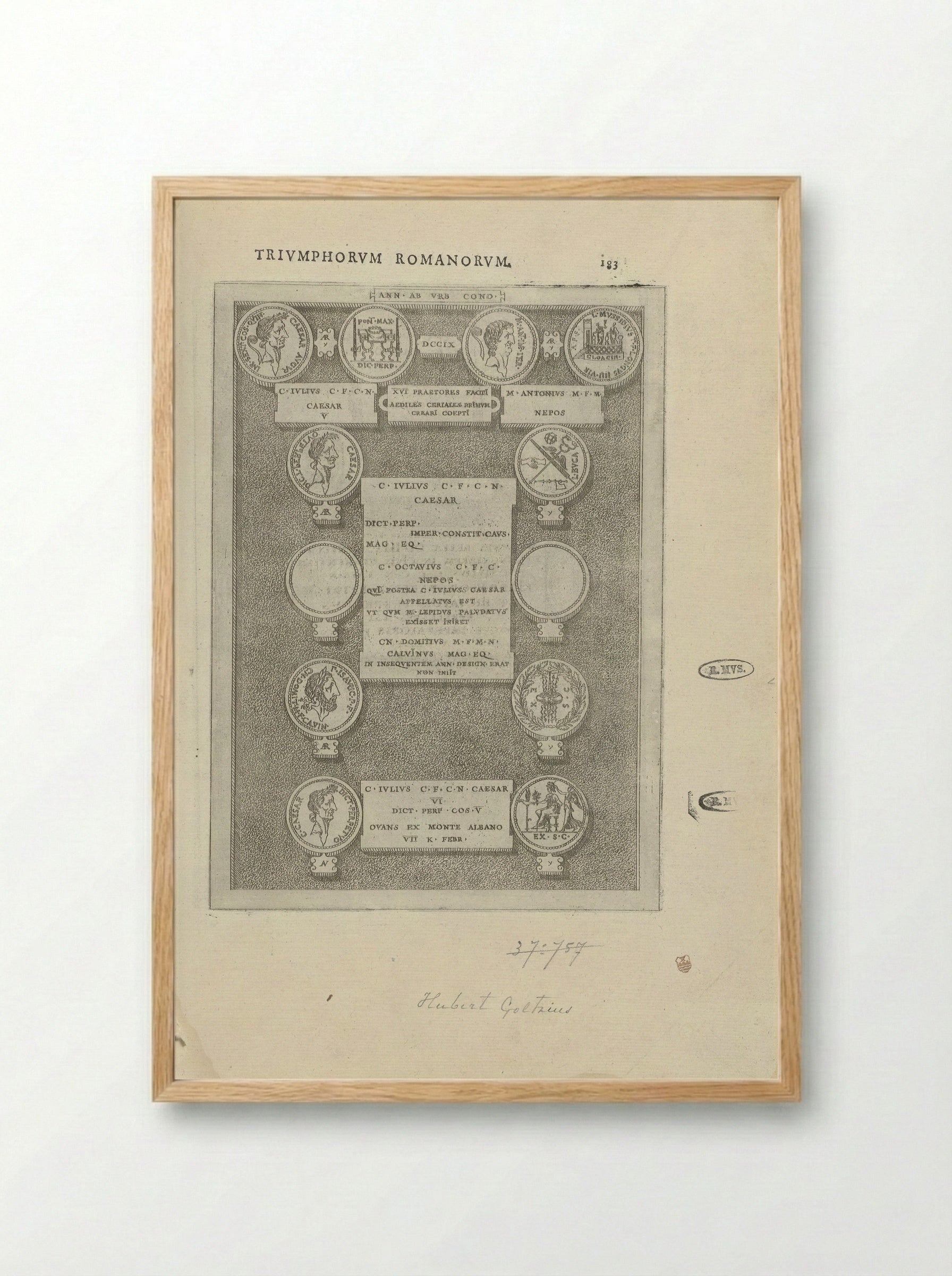 Zeven Romeinse munten - Hubert Goltzius - Framed Print Wood