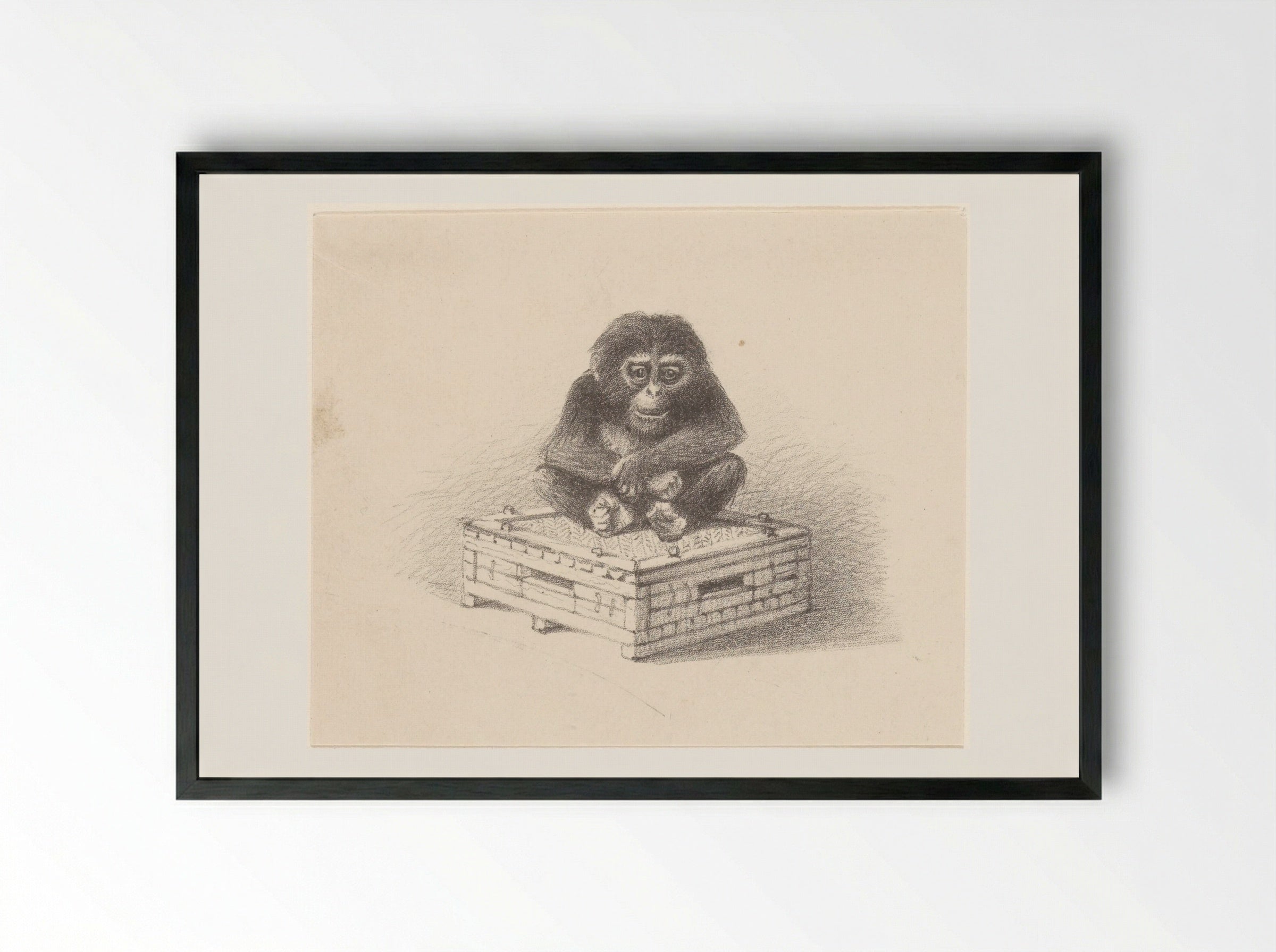 Zittende aap op kist - Theo van Hoytema - Framed Print Black