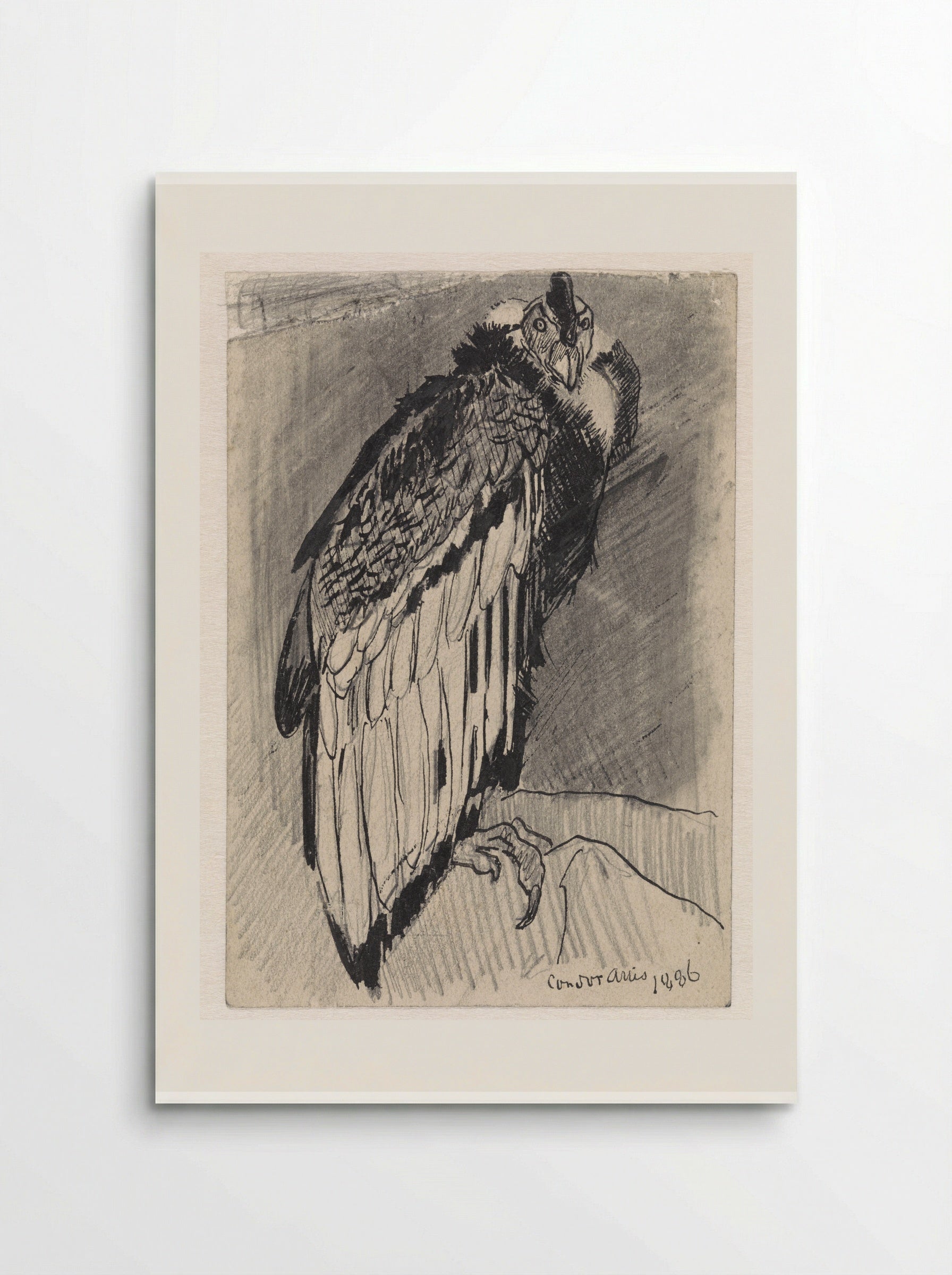 Zittende condor (Seated Condor) - Jan van Essen - Poster