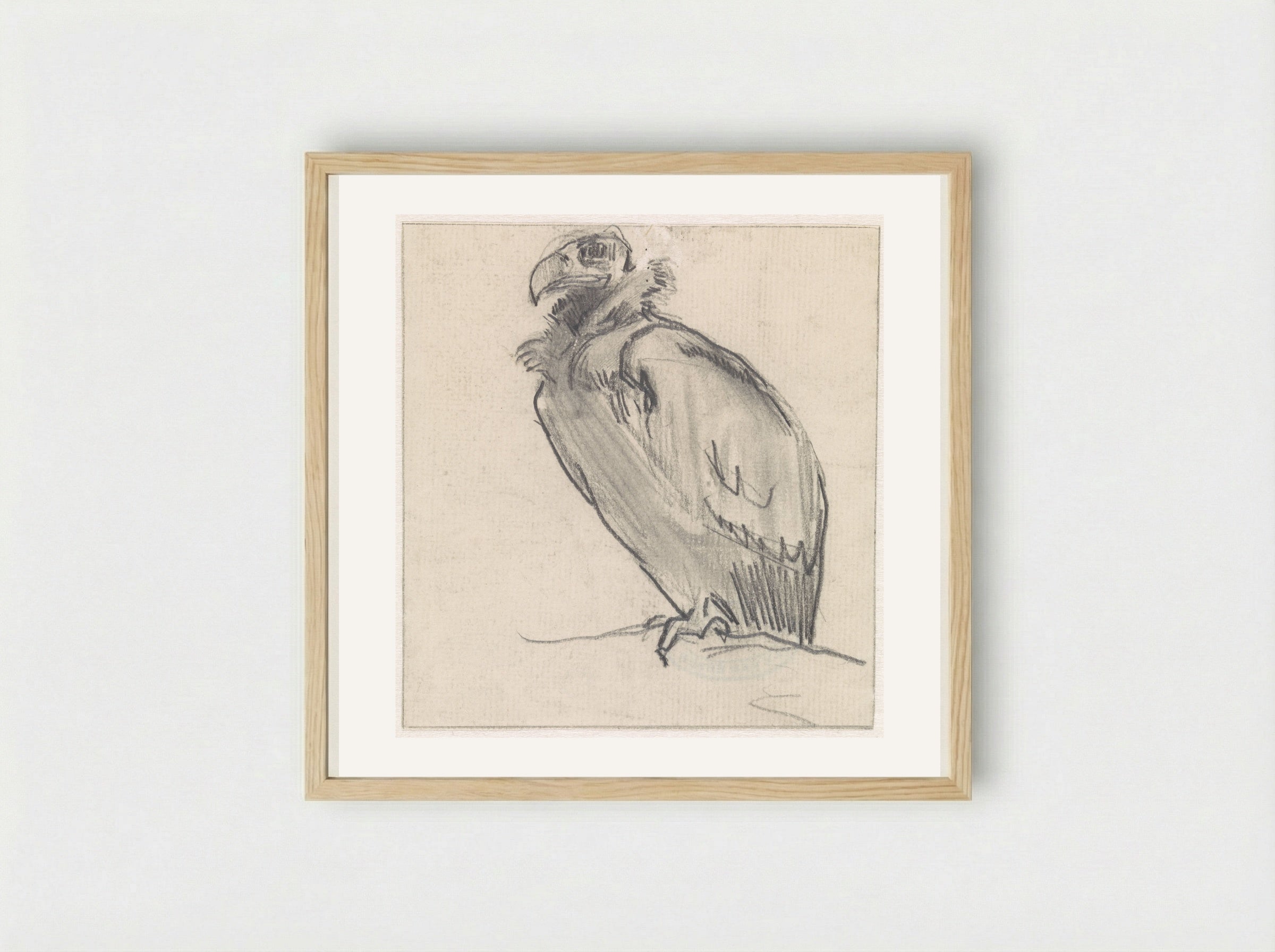 Zittende gier, naar links - Jan van Essen - Framed Print Wood