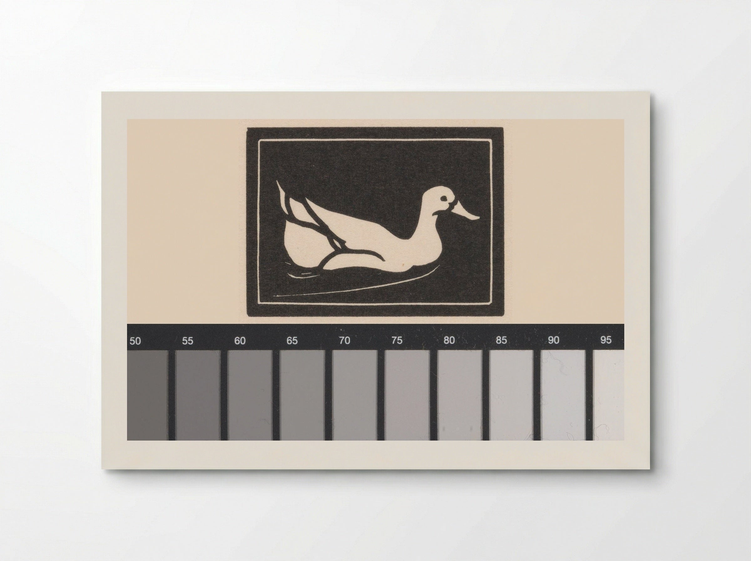 Zwemmende eend (Swimming Duck) - Julie de Graag - Poster