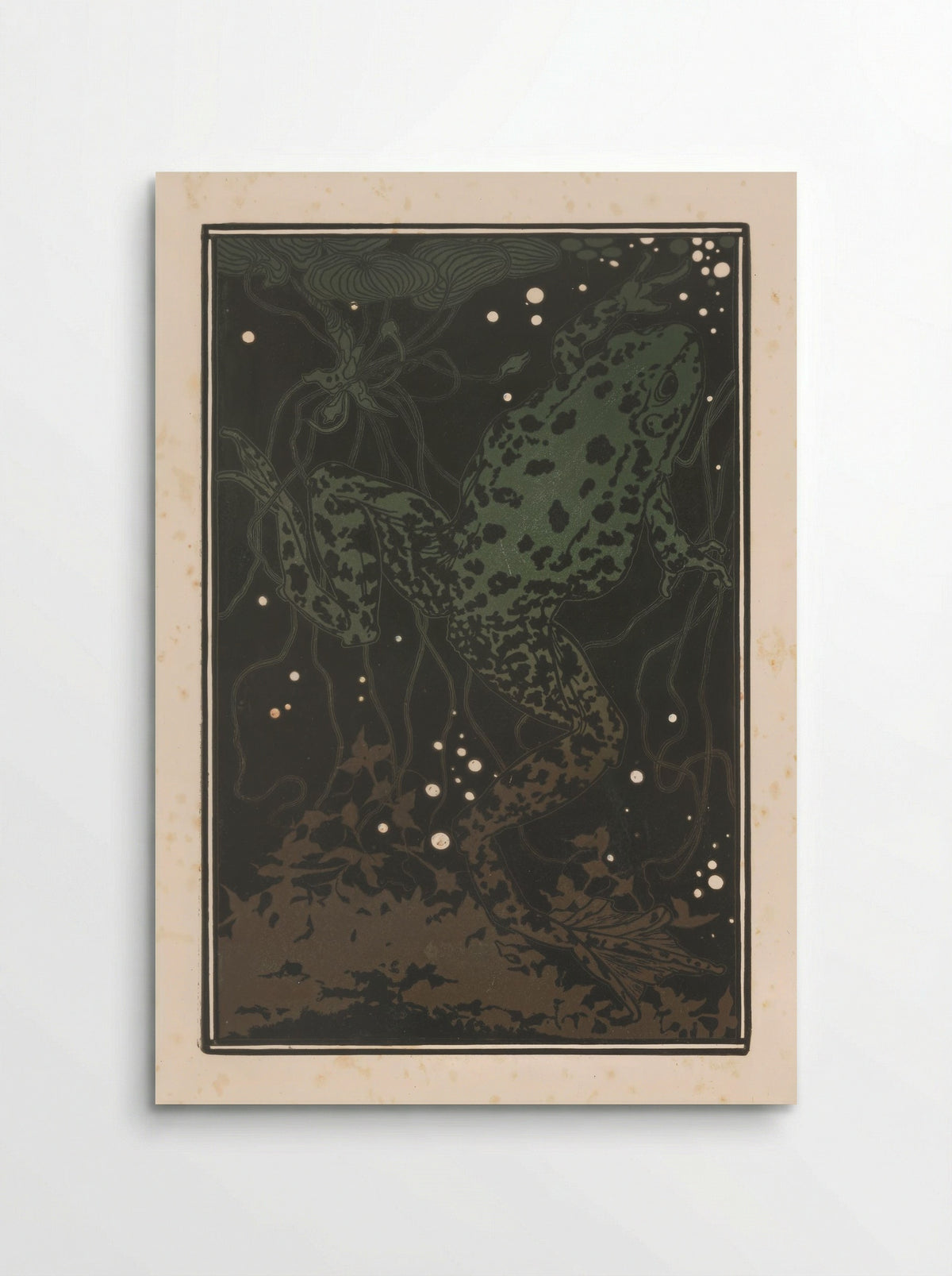Zwemmende kikker (Swimming Frog) - Julie de Graag - Poster