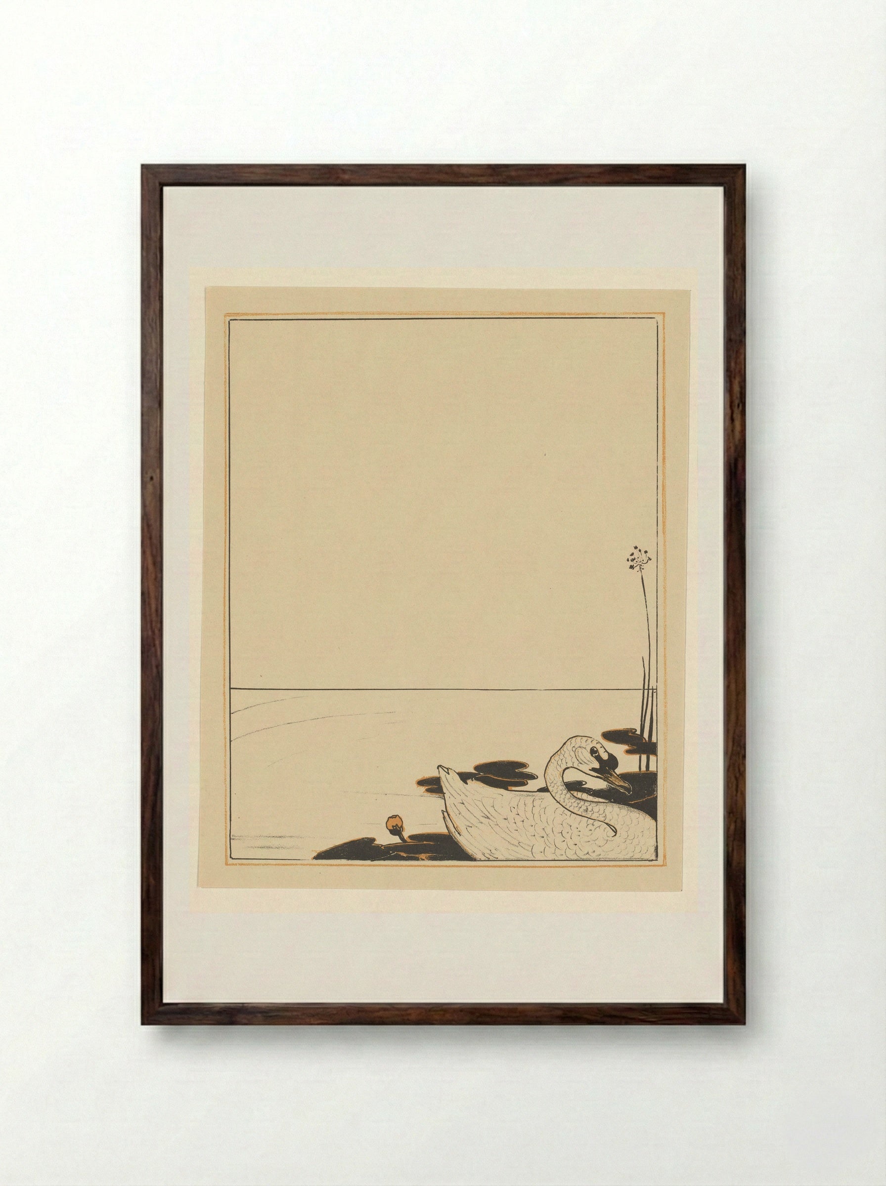 Zwemmende zwaan - Theo van Hoytema - Framed Print Dark Wood