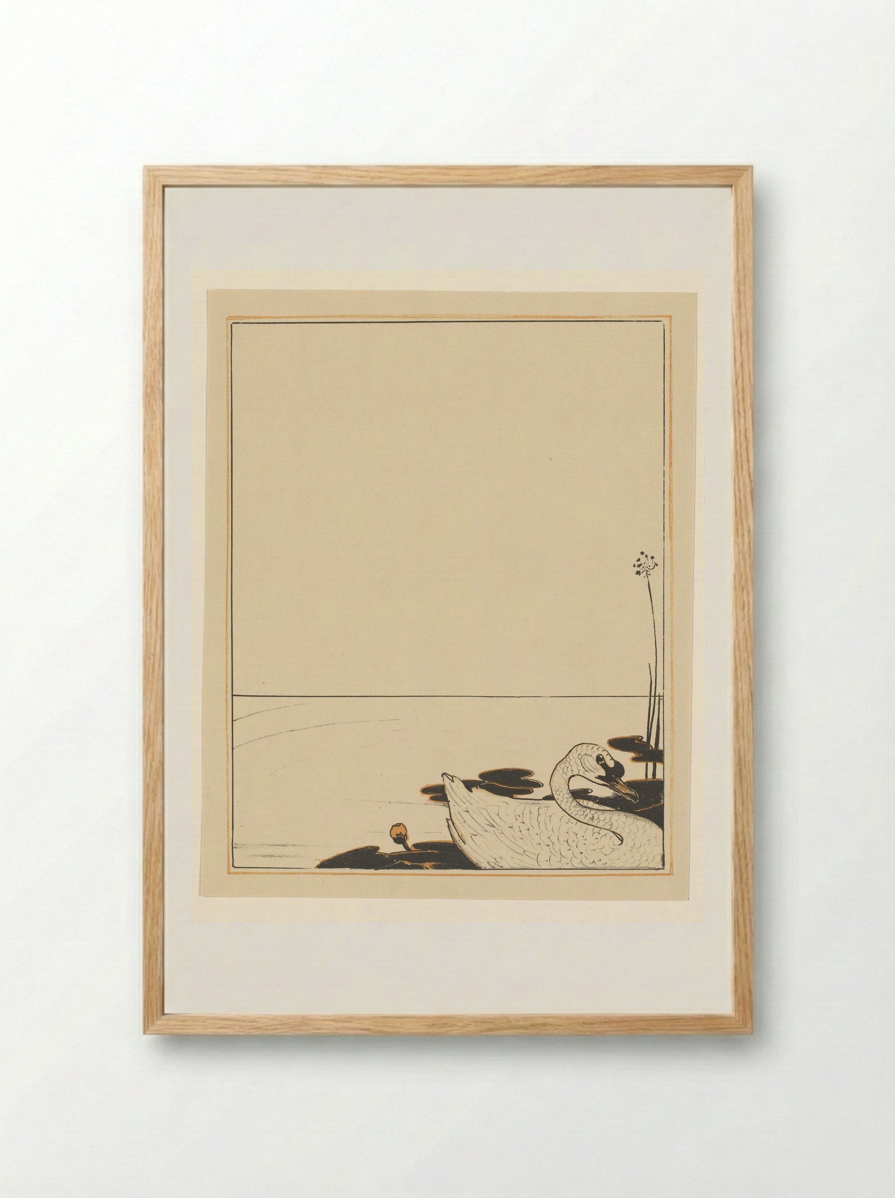 Zwemmende zwaan - Theo van Hoytema - Framed Print Wood