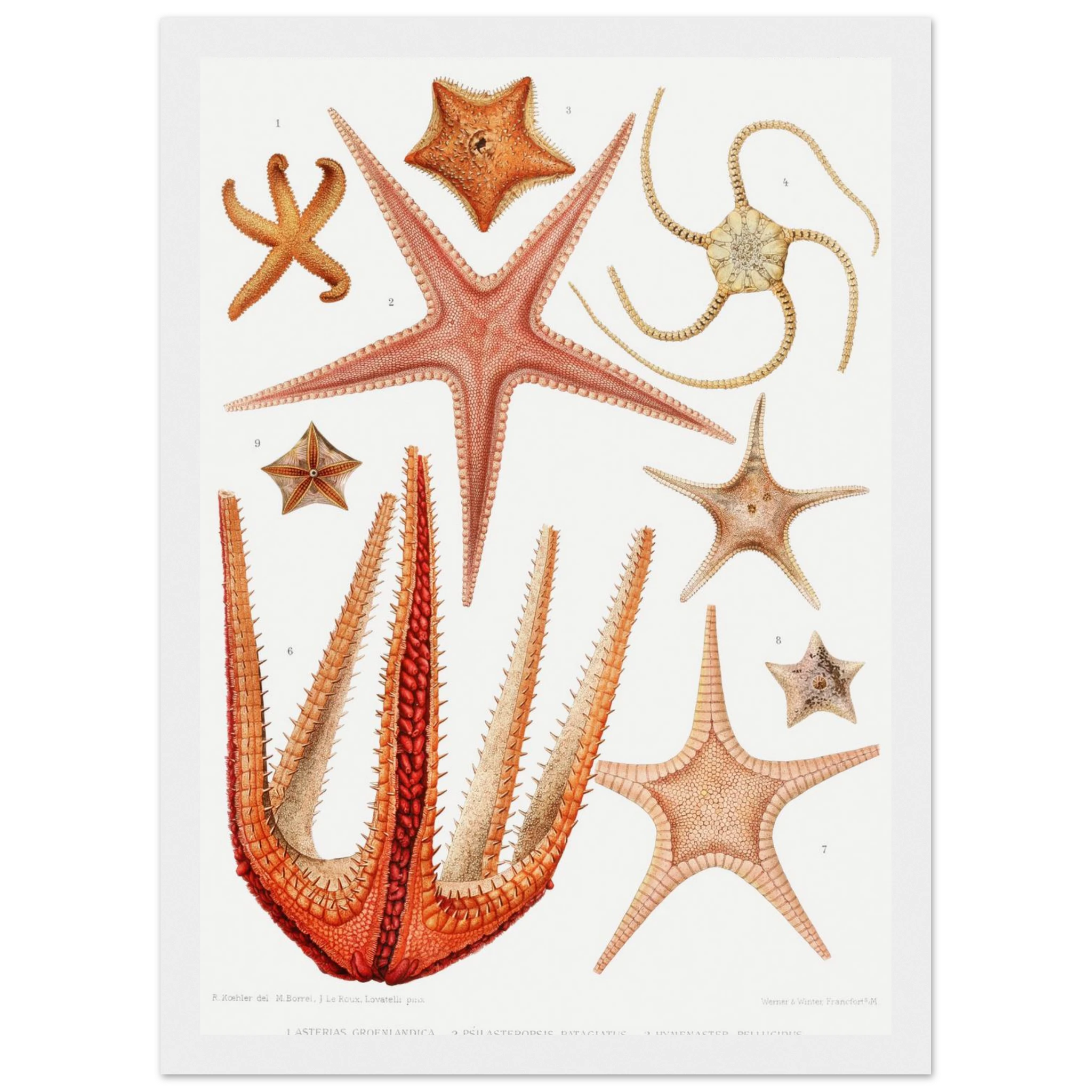 a06e1a29-5b62-4773-885d-29fc54b1b848