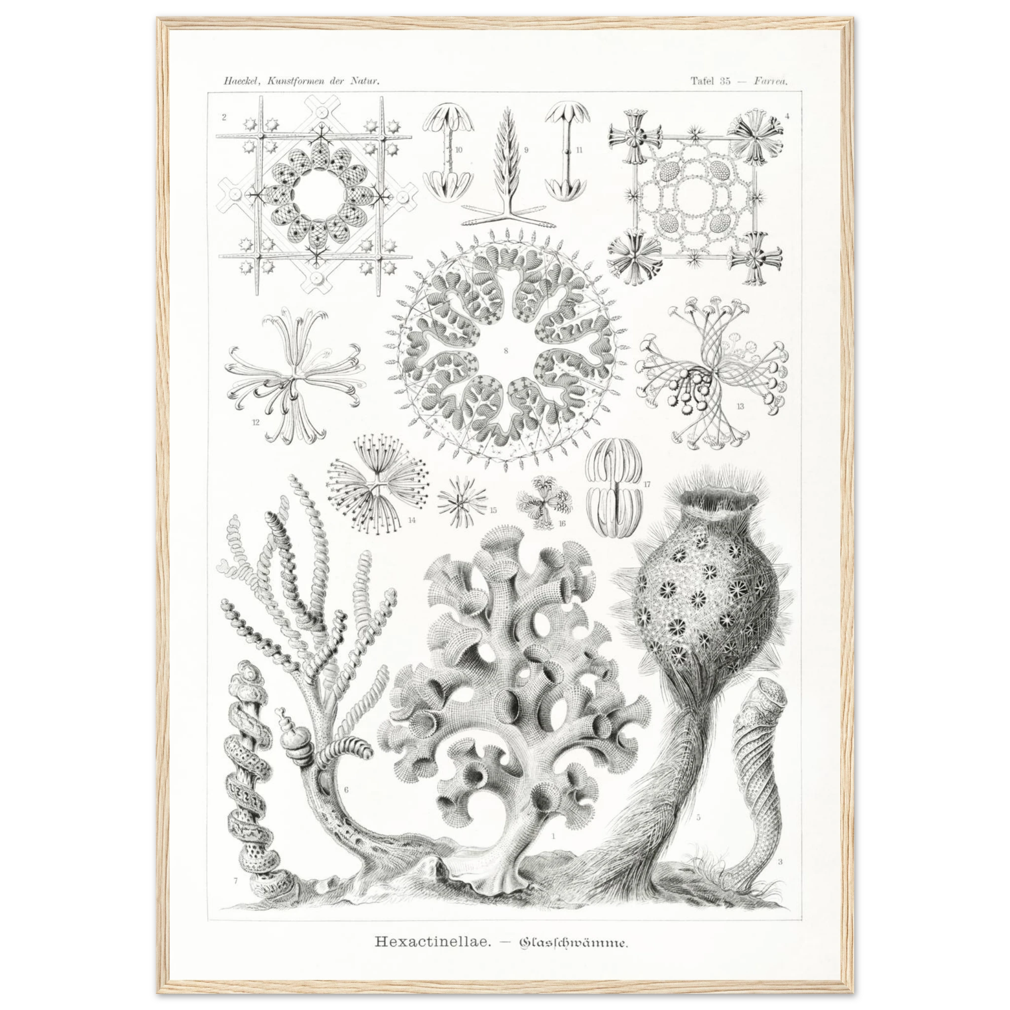 a080c98a-31a2-470f-9f9b-4e06eedc0b92