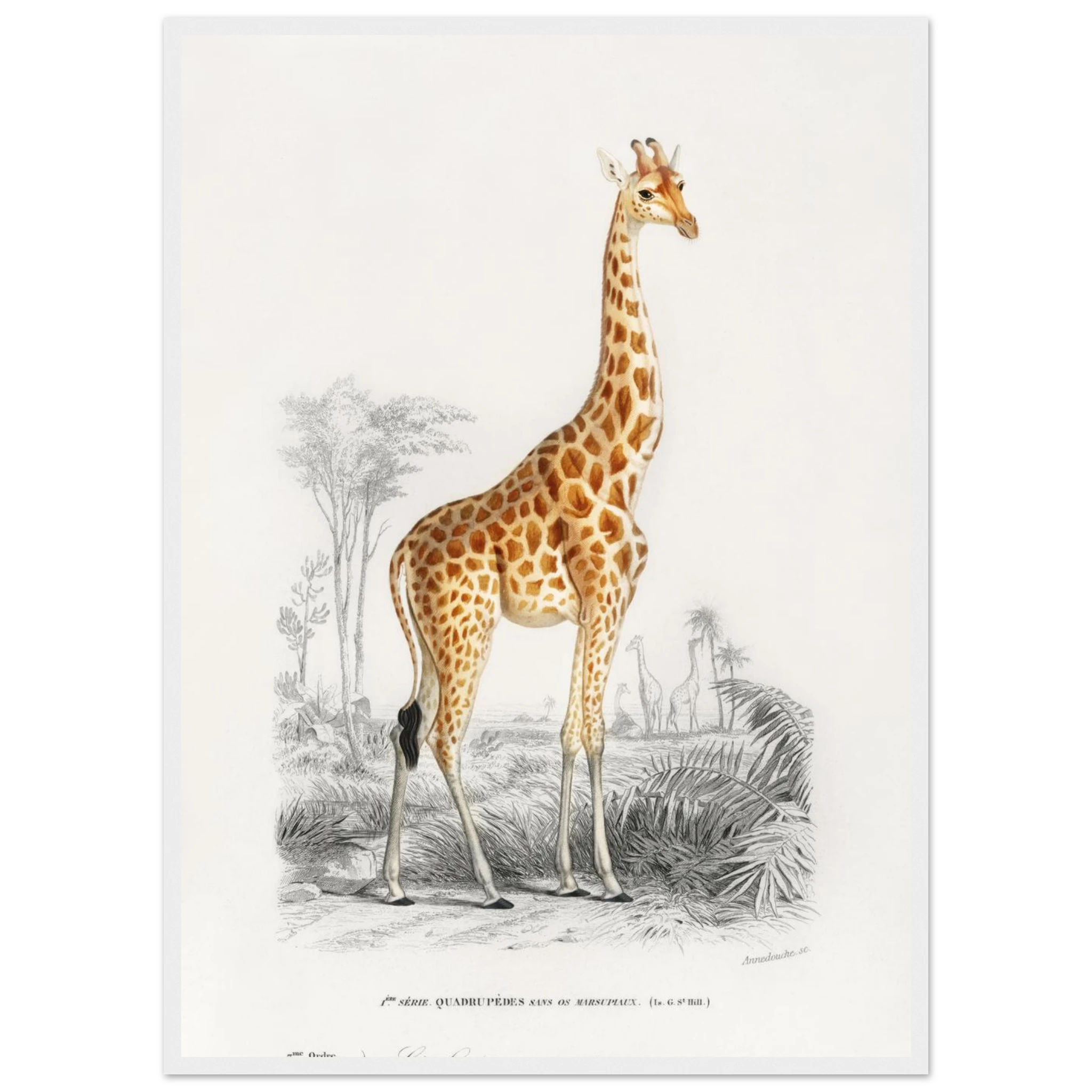 a0a6fe0a-81c3-440c-b7a3-88aa6418661f