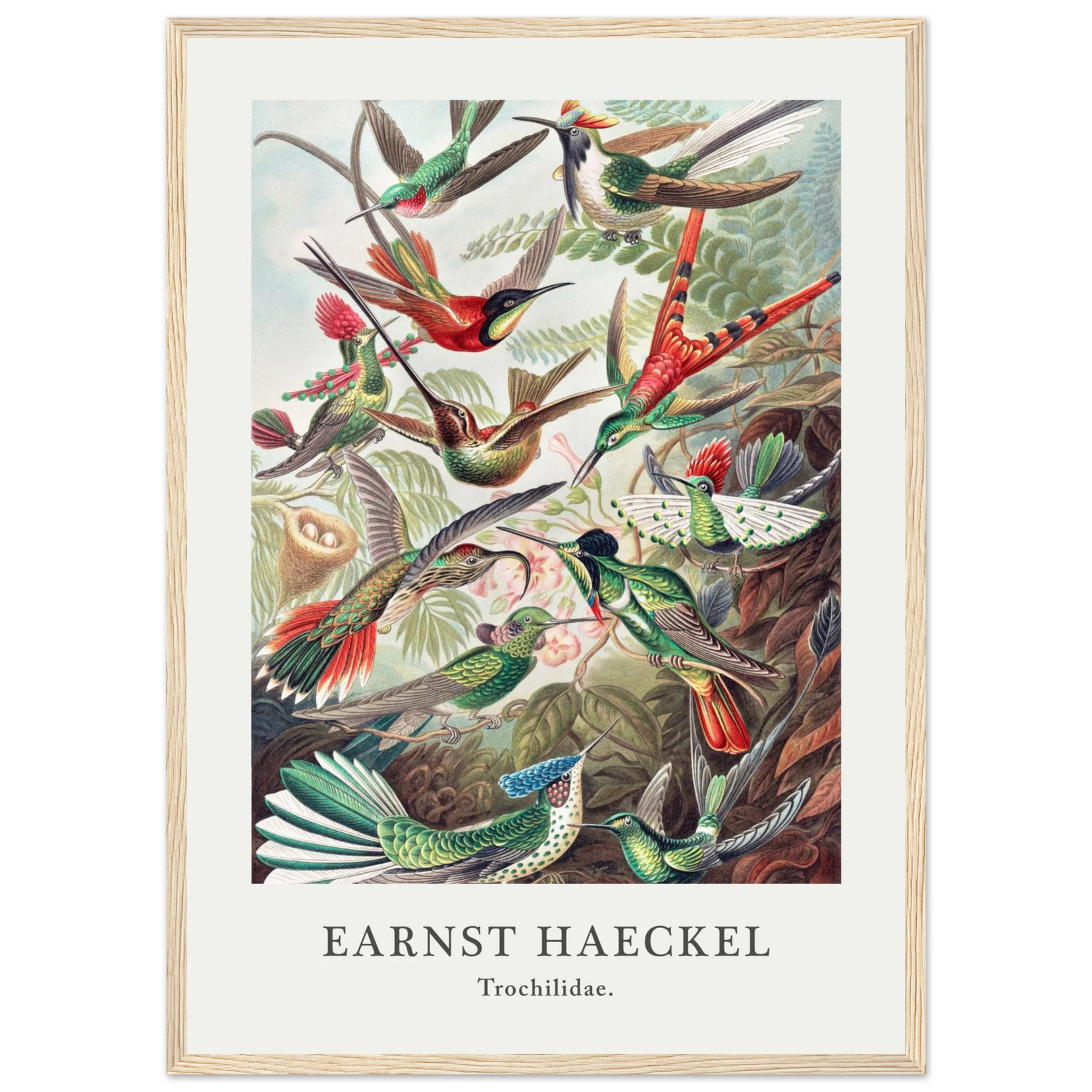 a13e34c5-87b0-4e9f-a33e-3a4ba24f86a8