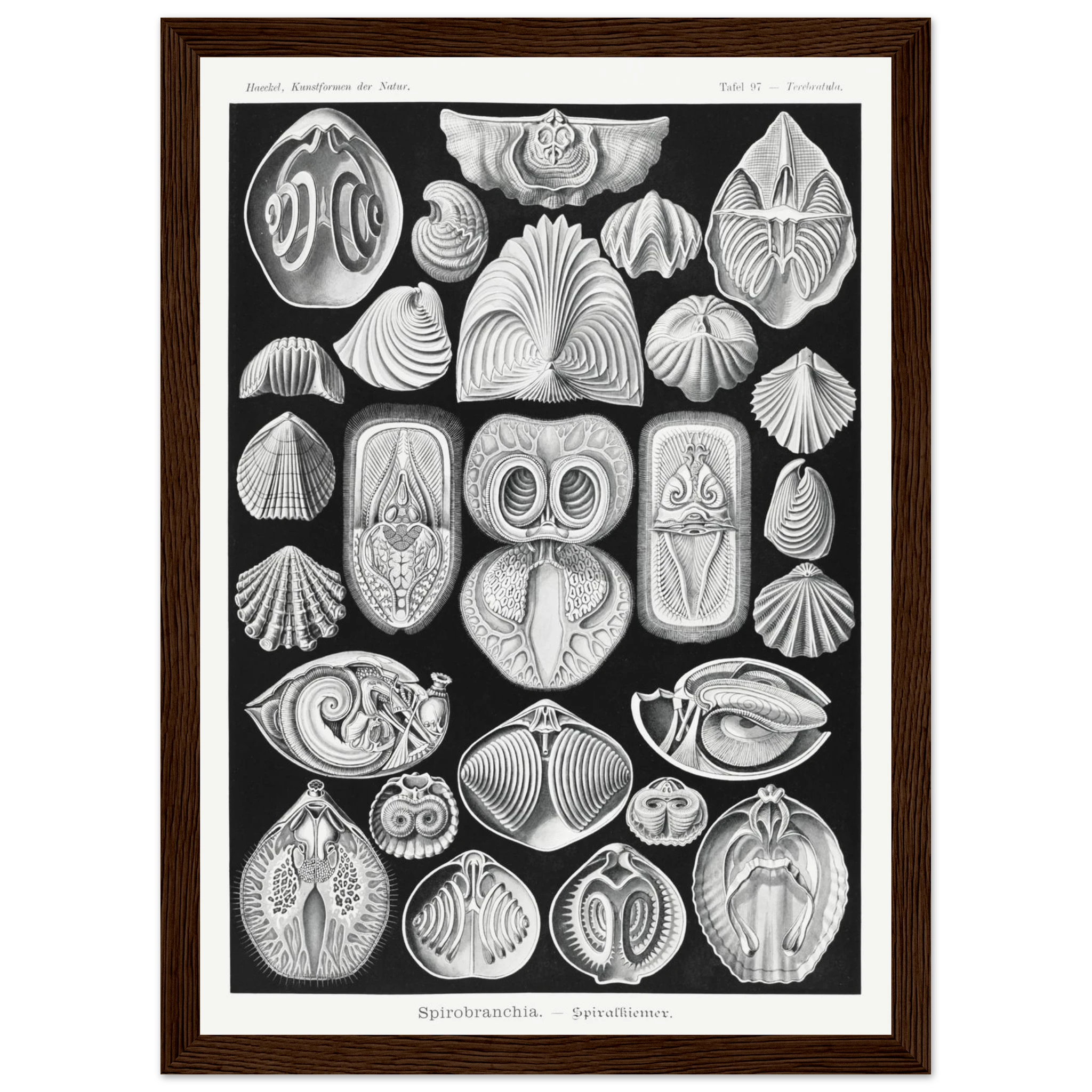 a1b966cd-249f-4fe5-9f10-70276f29a24b