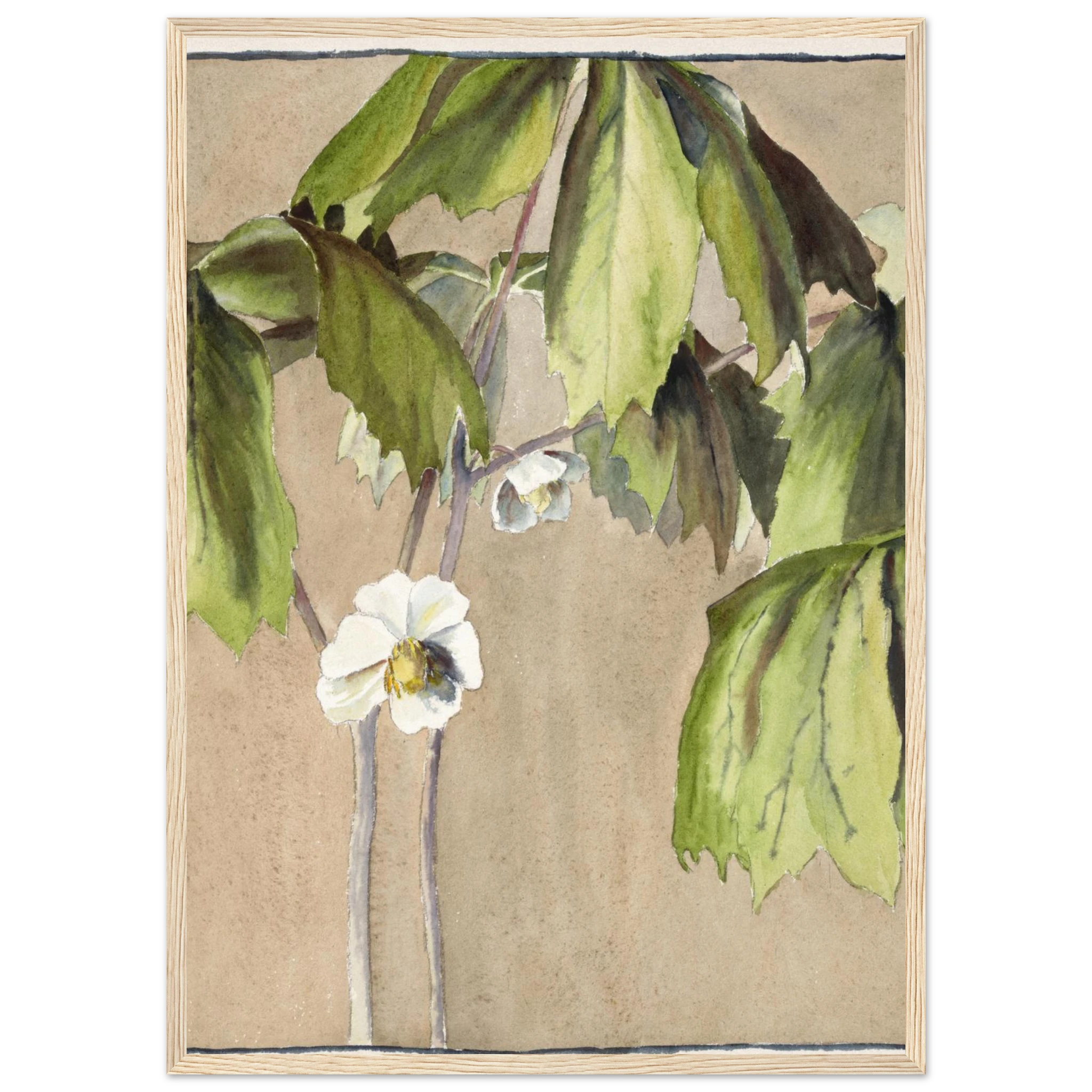 a1ba626e-1bf4-4abd-8ef9-6cd8929e6c0d