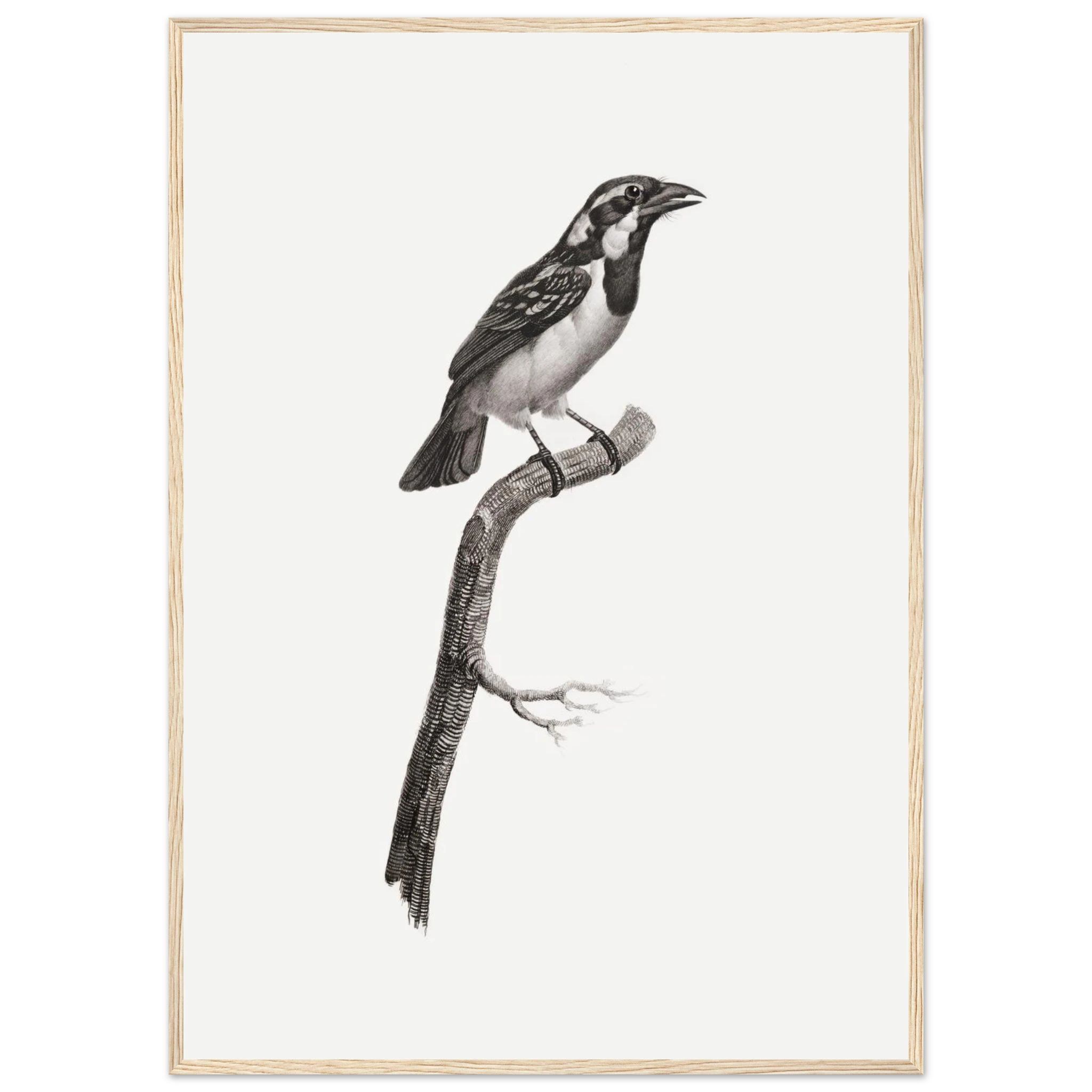 a1dd38dd-bfc4-42db-9c9b-594ef54c466b