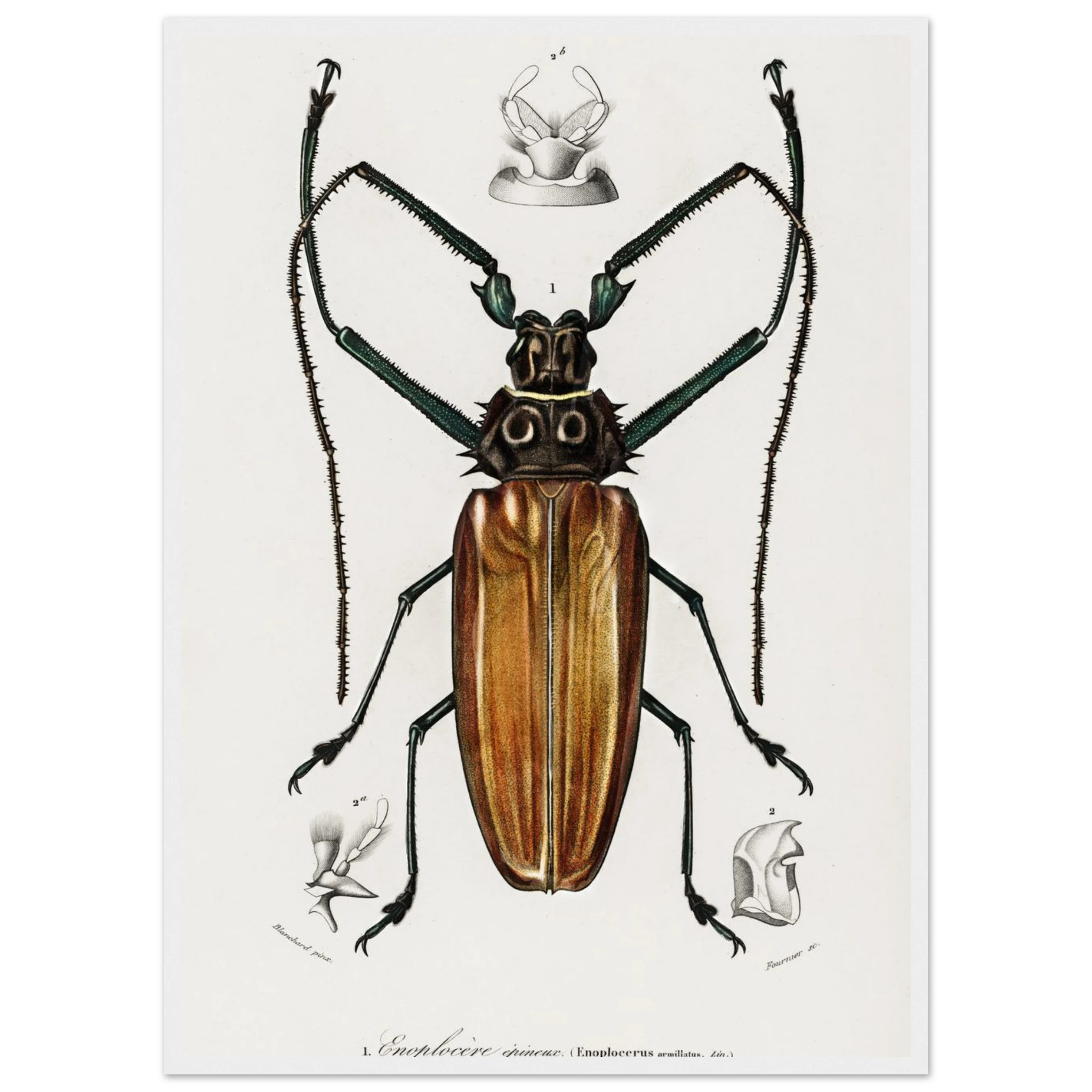 a226f67f-3e6e-42b0-960b-5817642576be