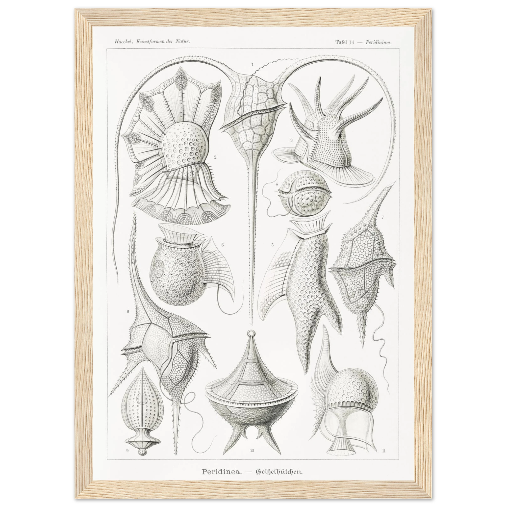 a2628ac4-1f84-46c7-b1d5-02e4436dfe51