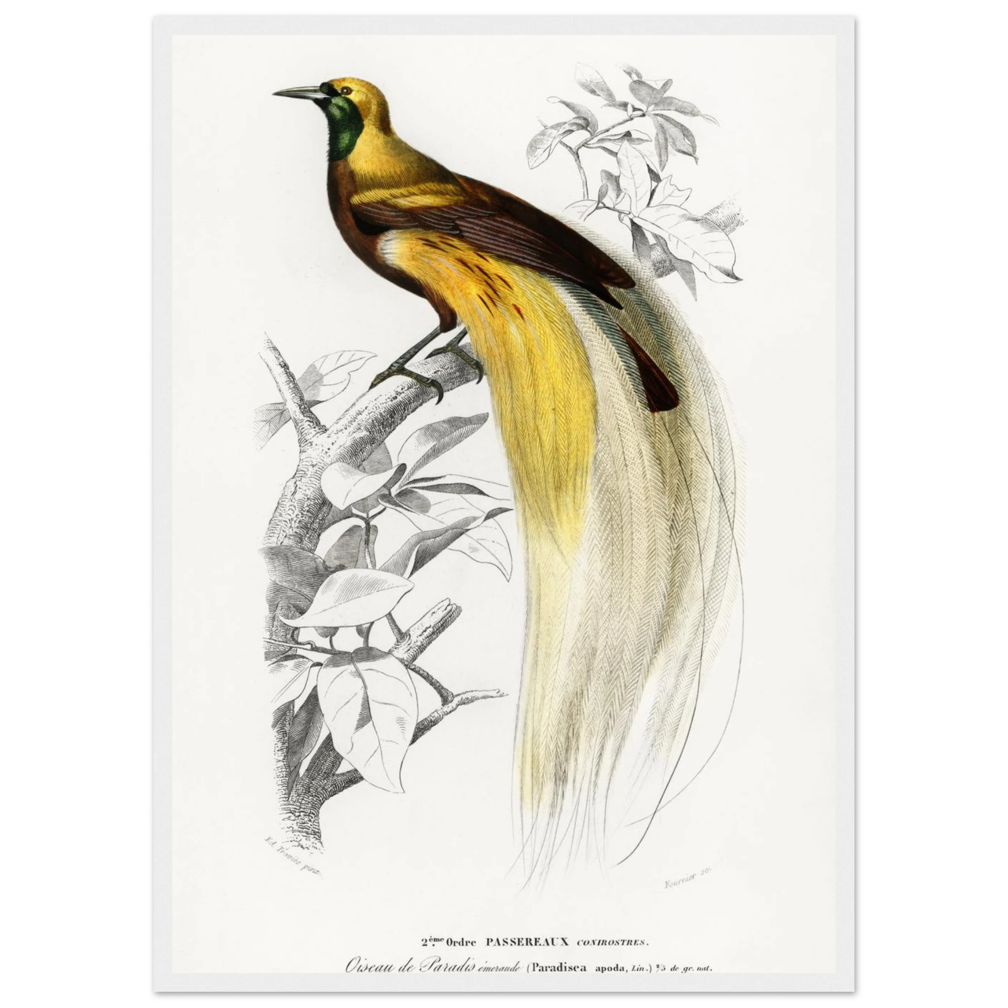 a2a06019-4311-47d0-8a4b-9ff6b2f6286a