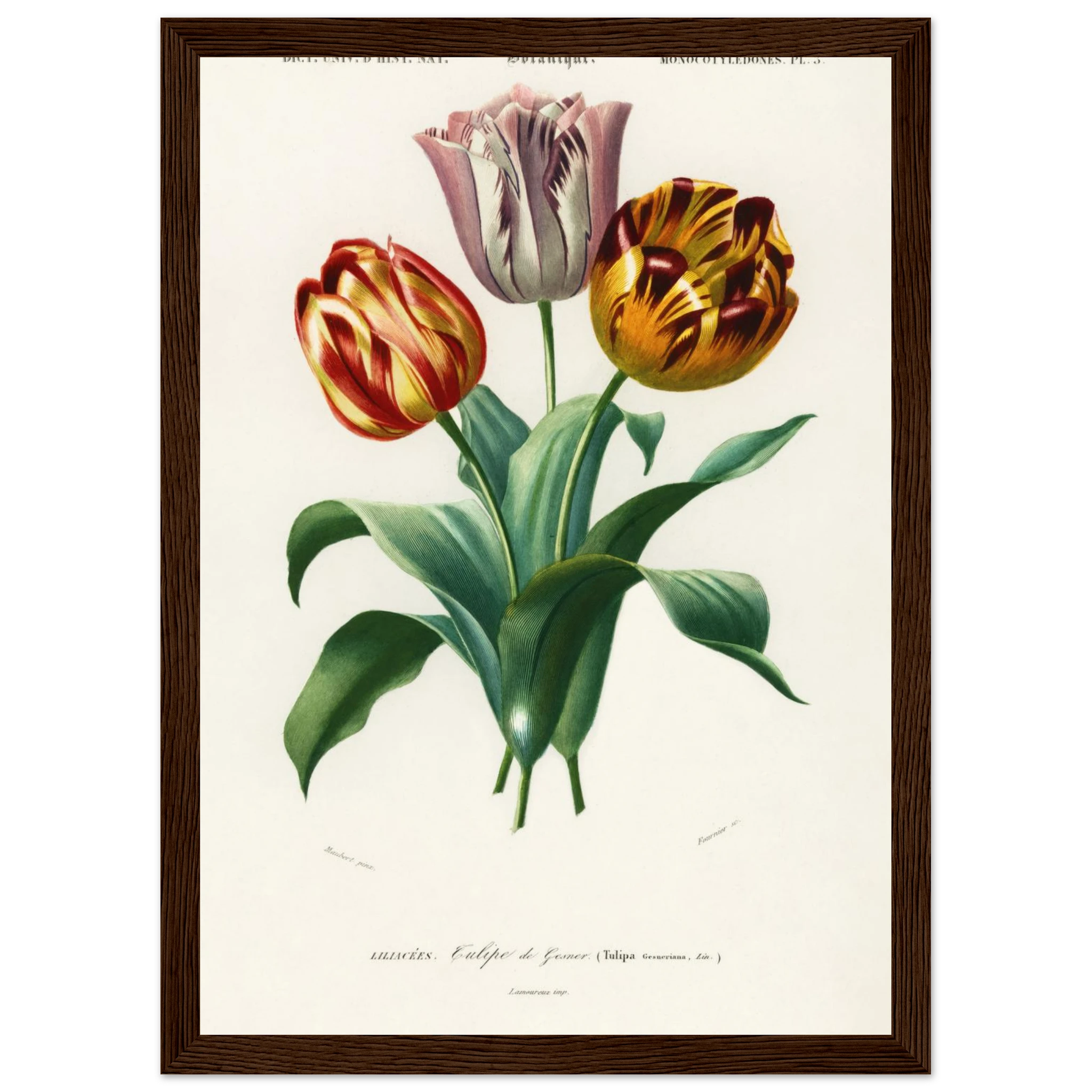 a2a1c81b-acf0-485e-a760-80181c19071b