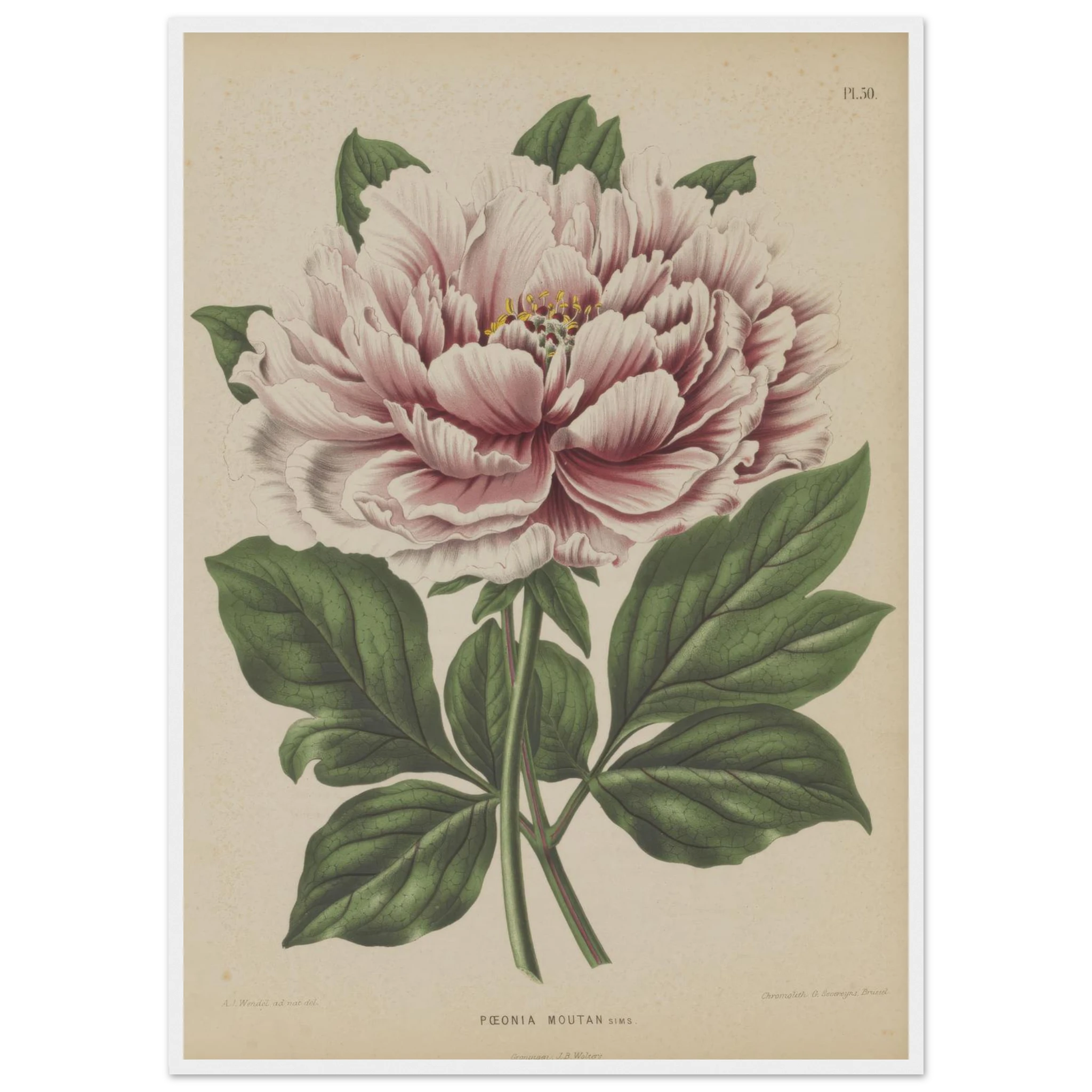 a39bee5e-a937-4f3c-bef4-f23b32e54ba4