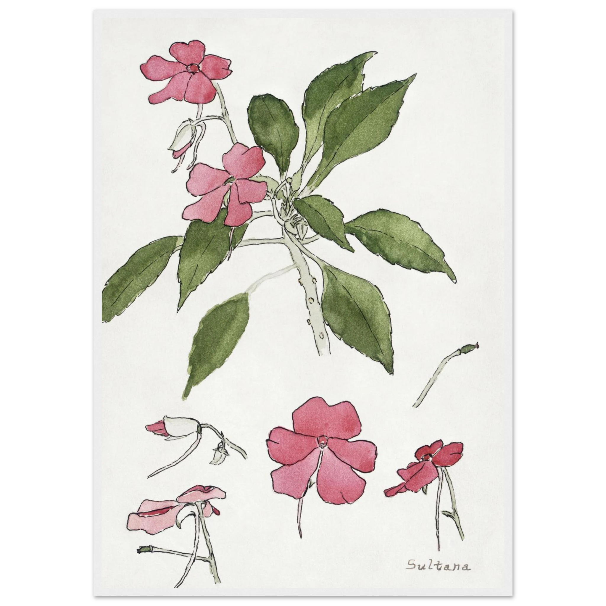 a3a5f78d-16d1-47aa-969f-63753c5493c7