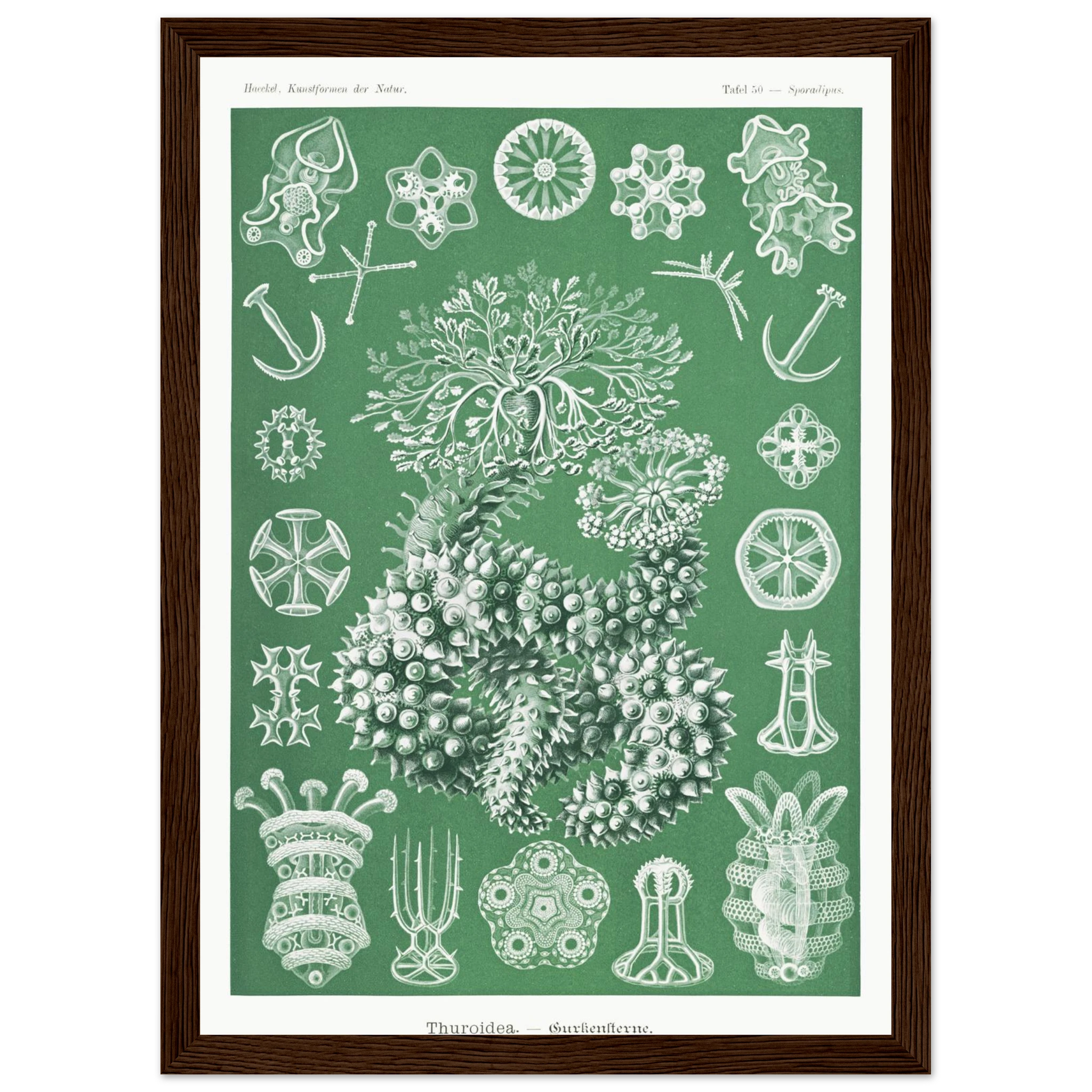 a3b08633-9154-4c4a-8527-c883e7e5980e