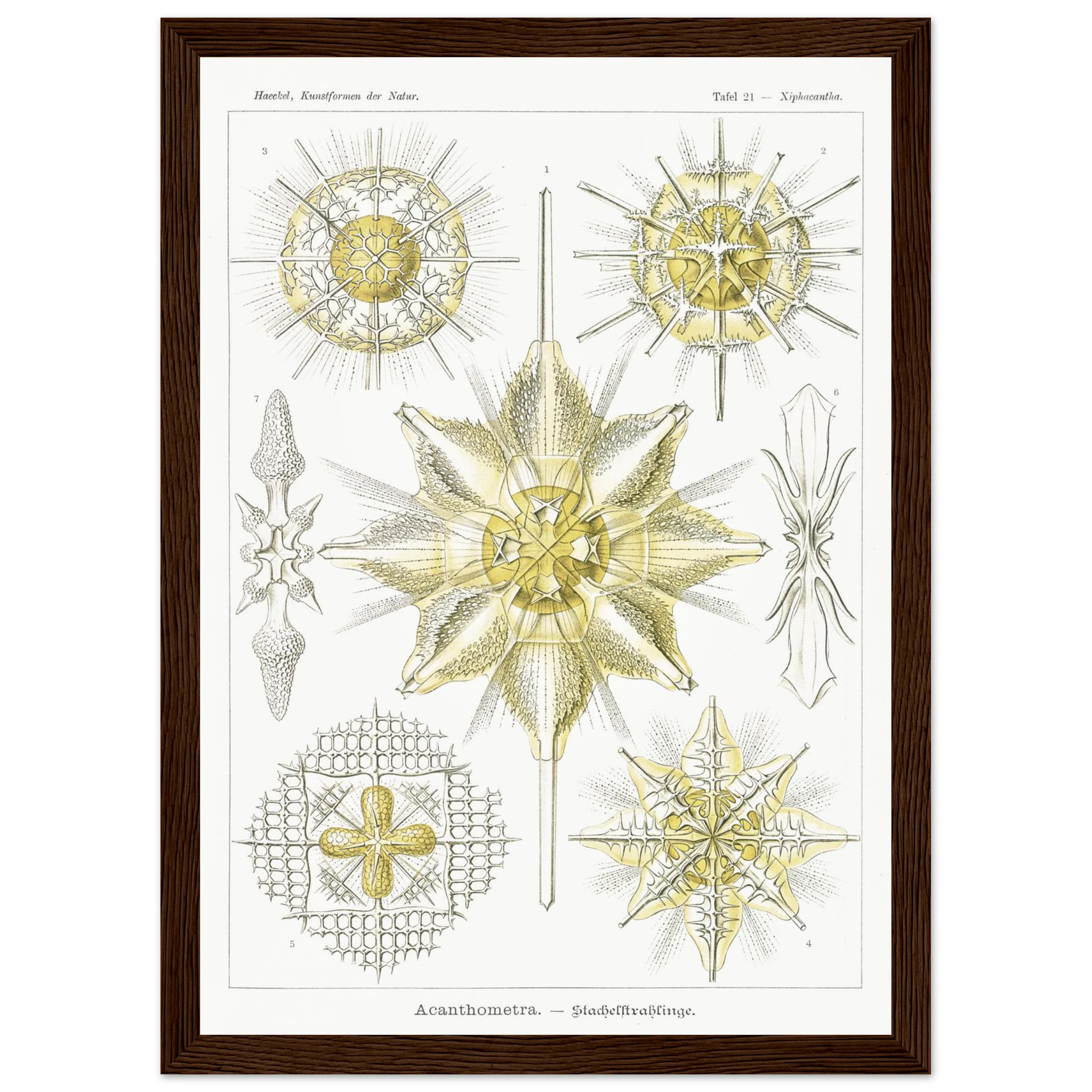 a3c6b1cf-2cd6-4912-a130-fd66cec119a1