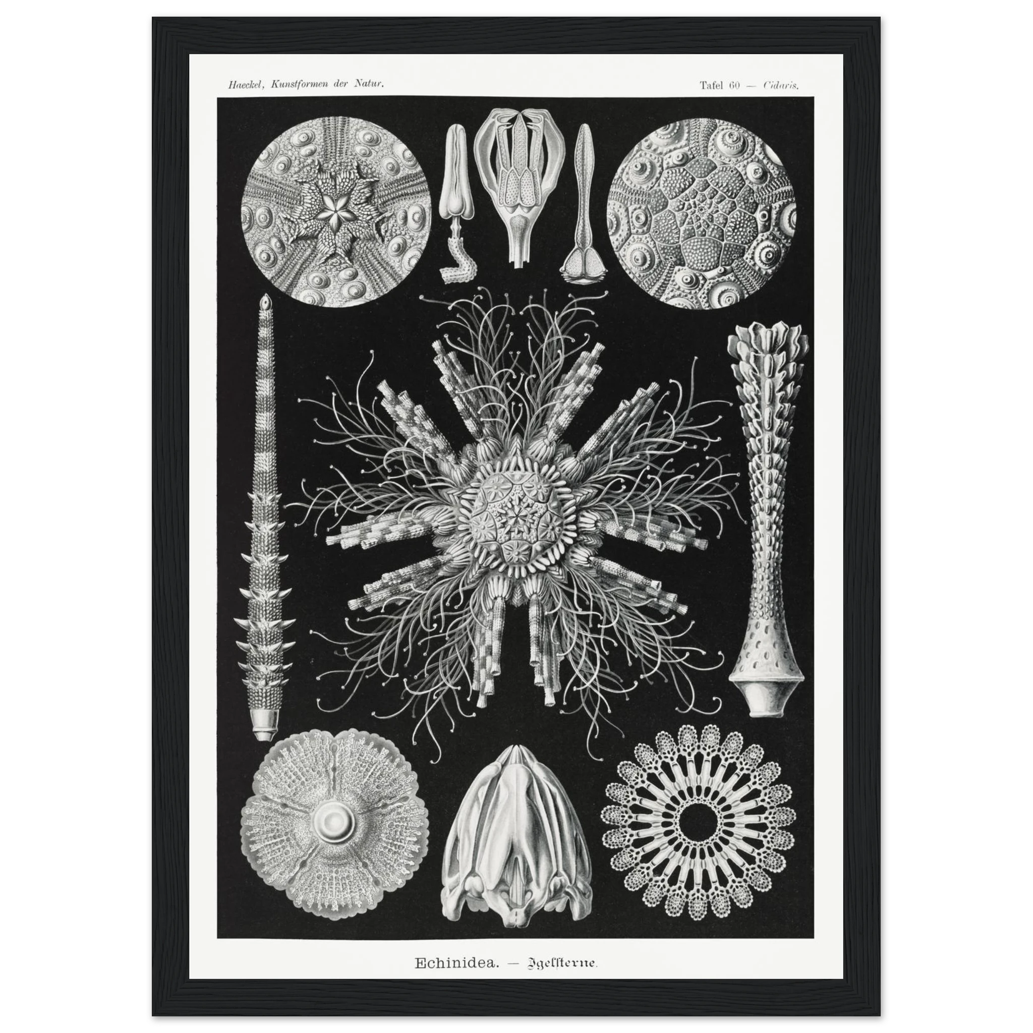 a3e0b318-d95e-4c9c-8916-fb951490a148