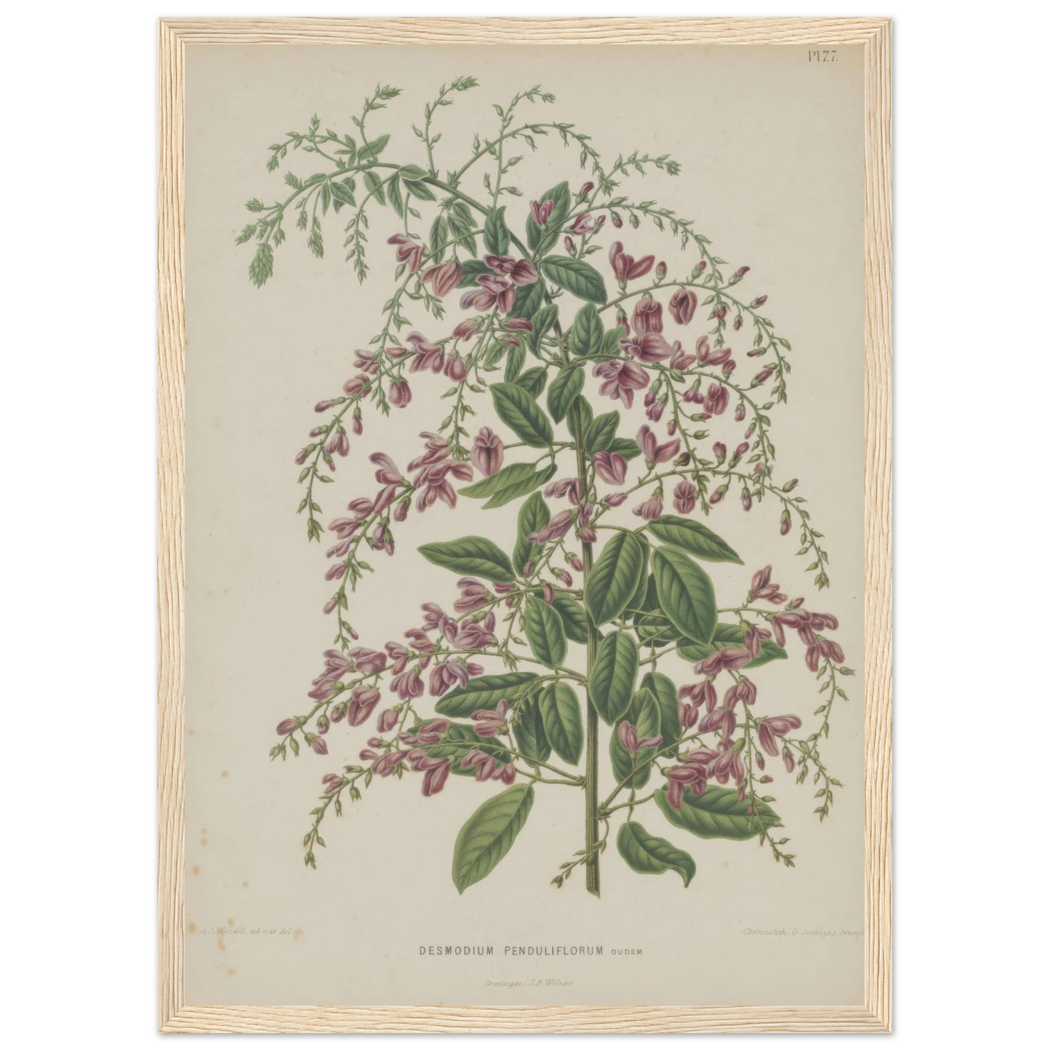 a3e54748-d195-4d8e-899a-eada70bf68ac