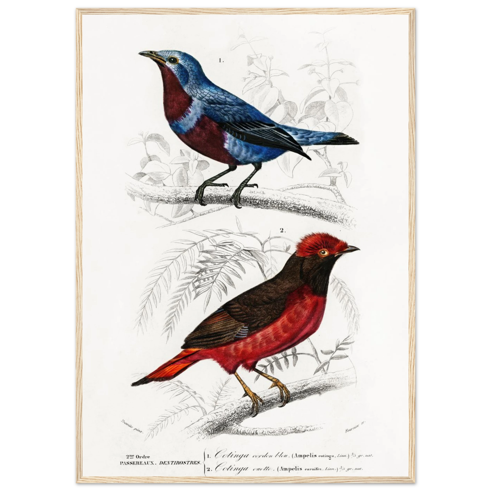 a3e96369-1c61-48c3-8795-d35c88d67b89